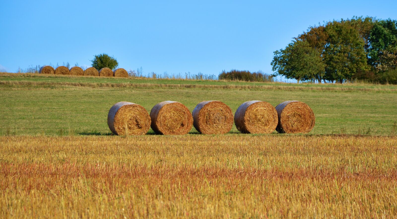 Nikon D5200 sample photo. Field, agriculture, straw bales photography