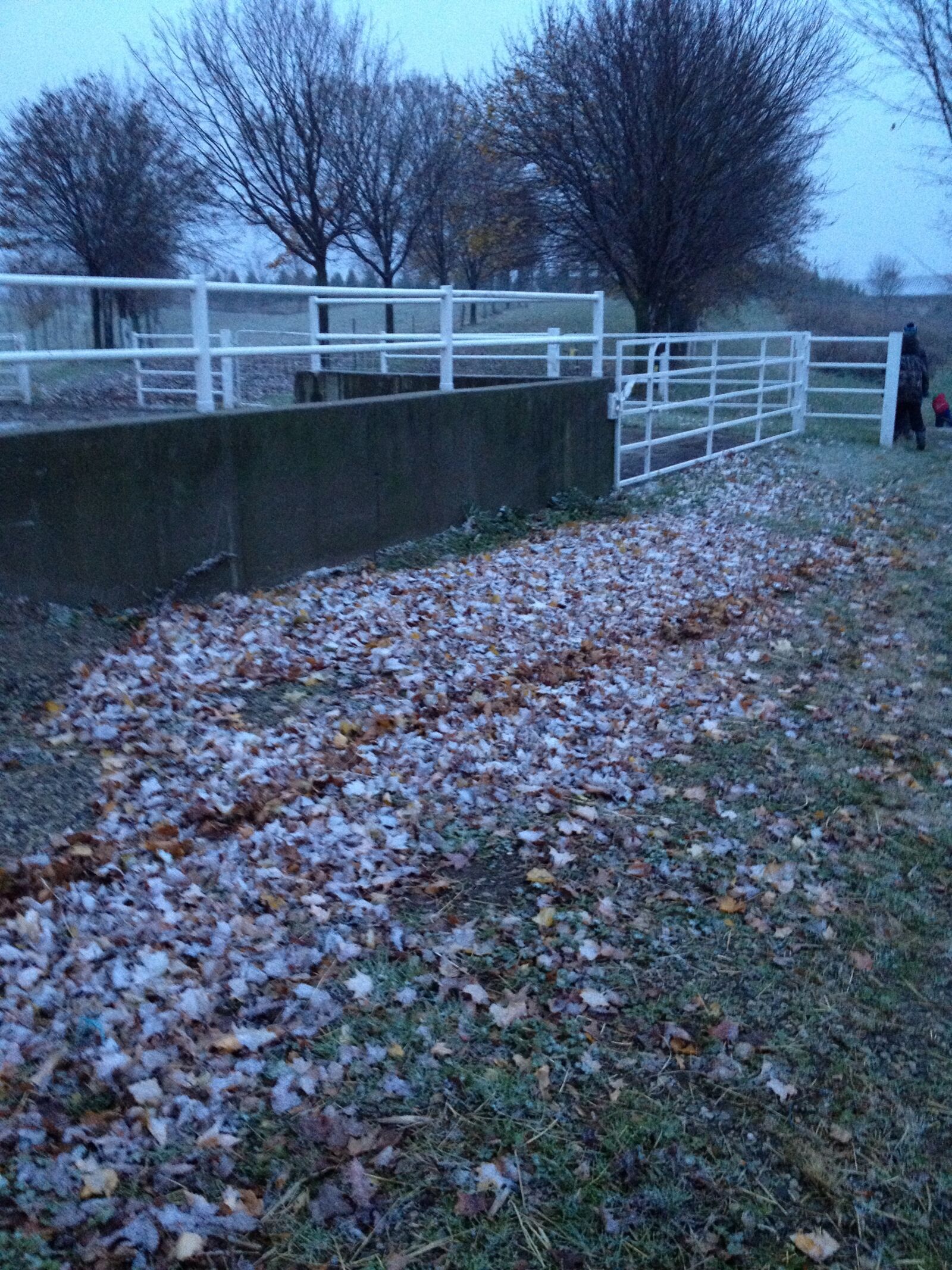 Apple iPhone 4S sample photo. Rail, tube fencing, leaves photography