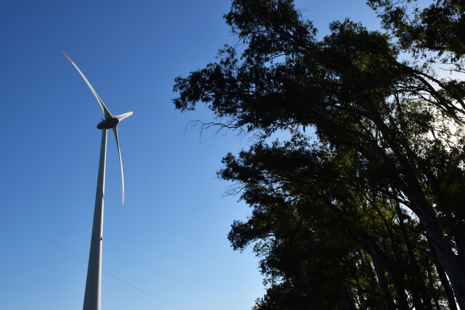 Nikon D3300 sample photo. Sun, wind energy, mill photography