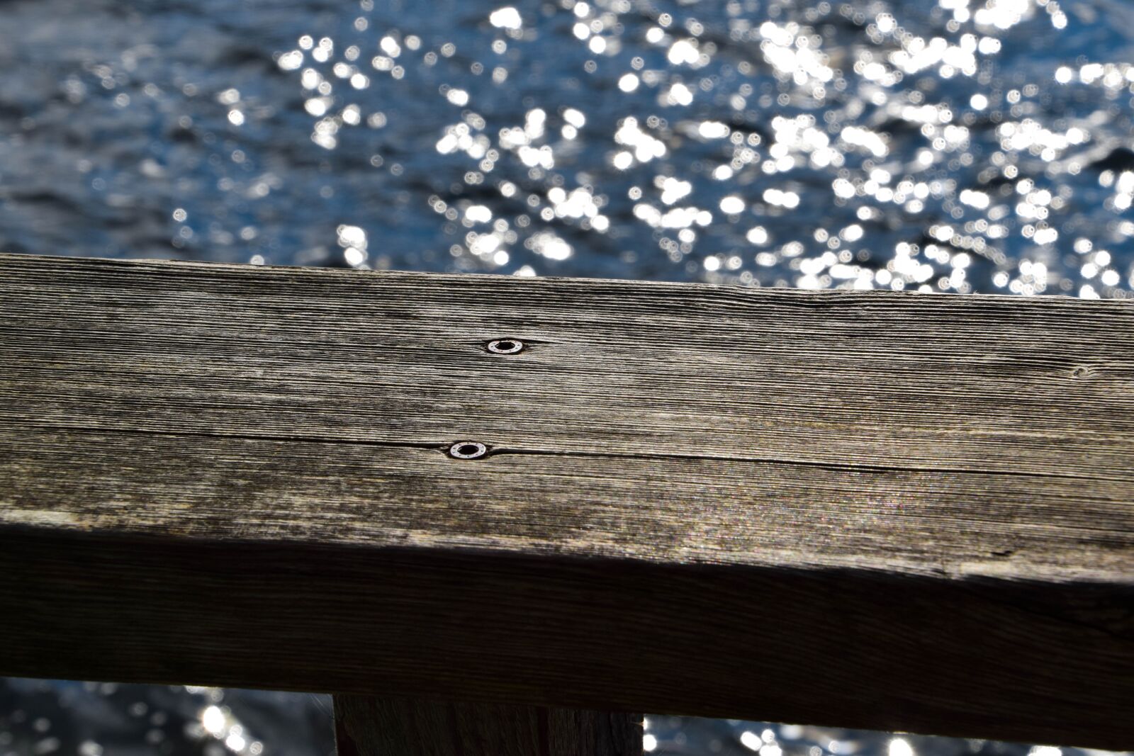 Nikon D3300 sample photo. Water, web, board photography