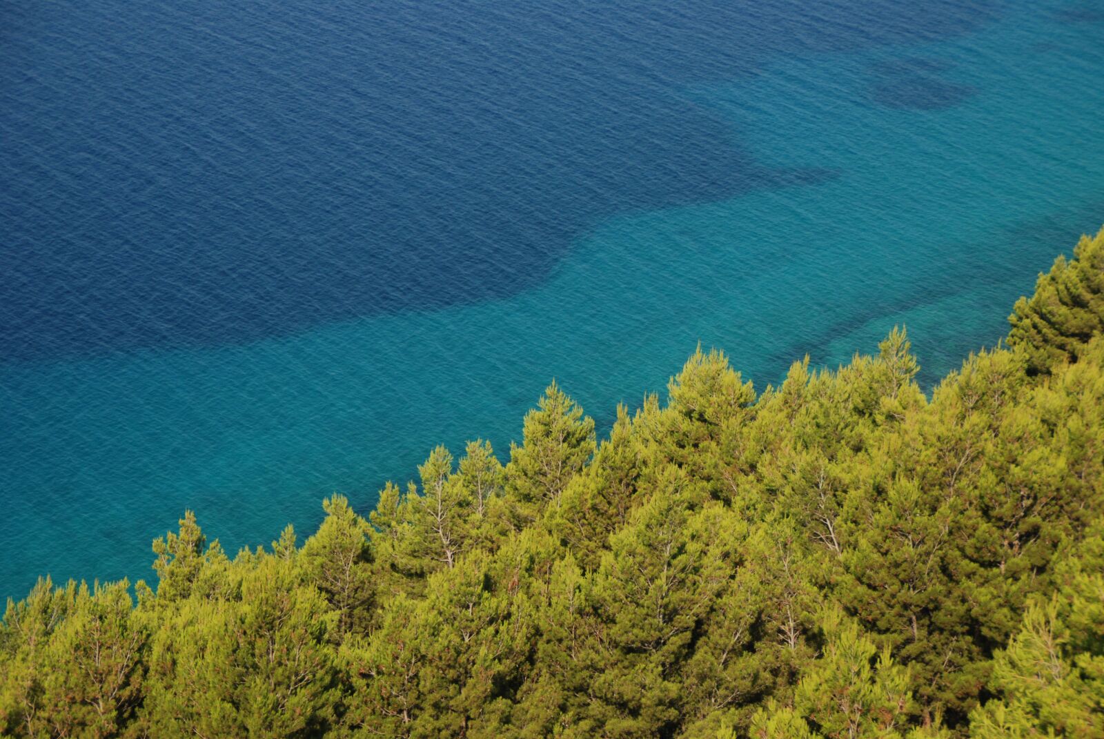 Nikon D80 sample photo. Sea, forest, nature photography