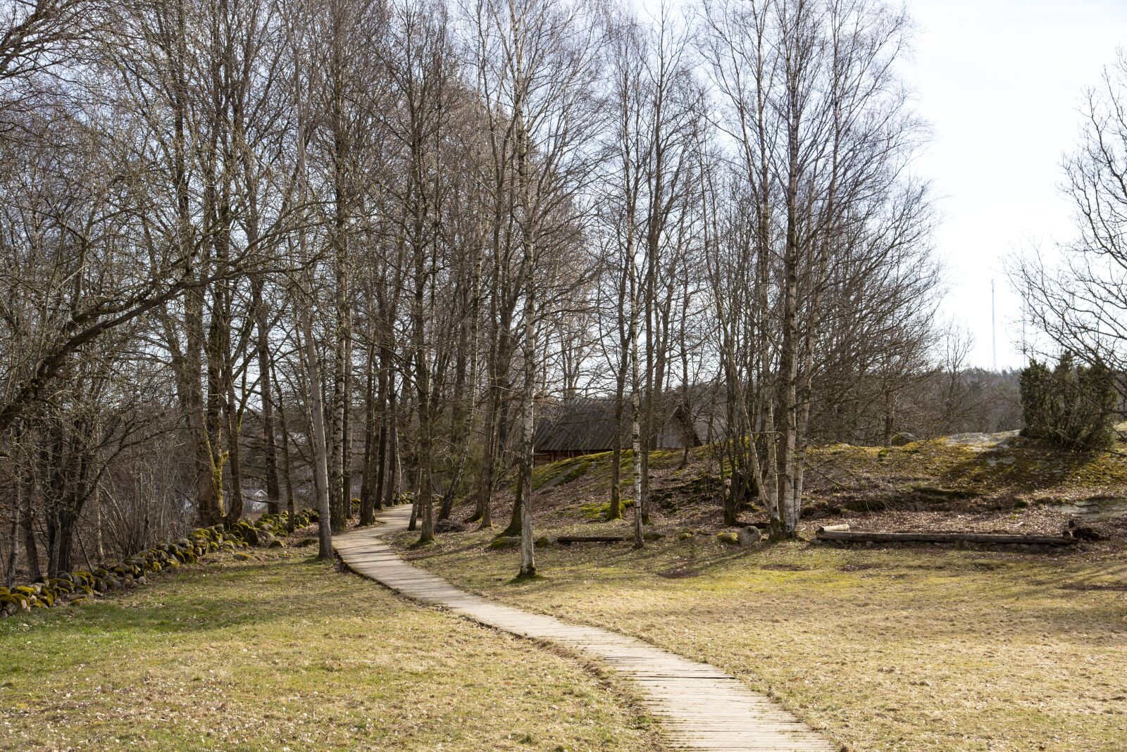 Nikon D750 sample photo. Vikingagård, story, sweden photography