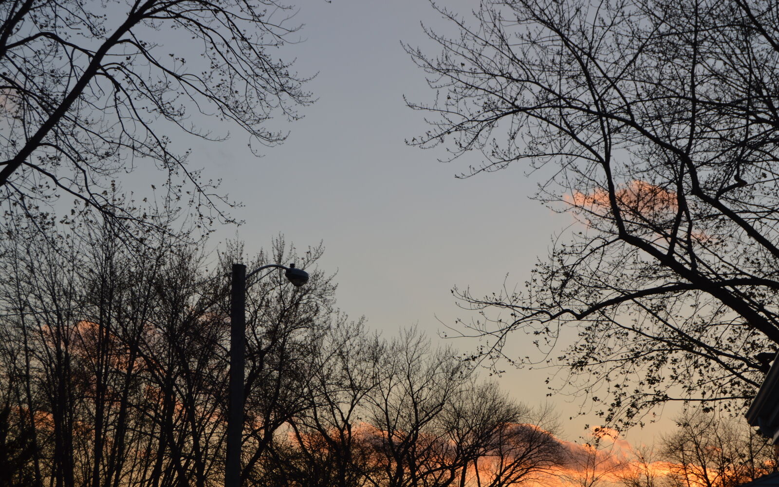 Nikon D3200 sample photo