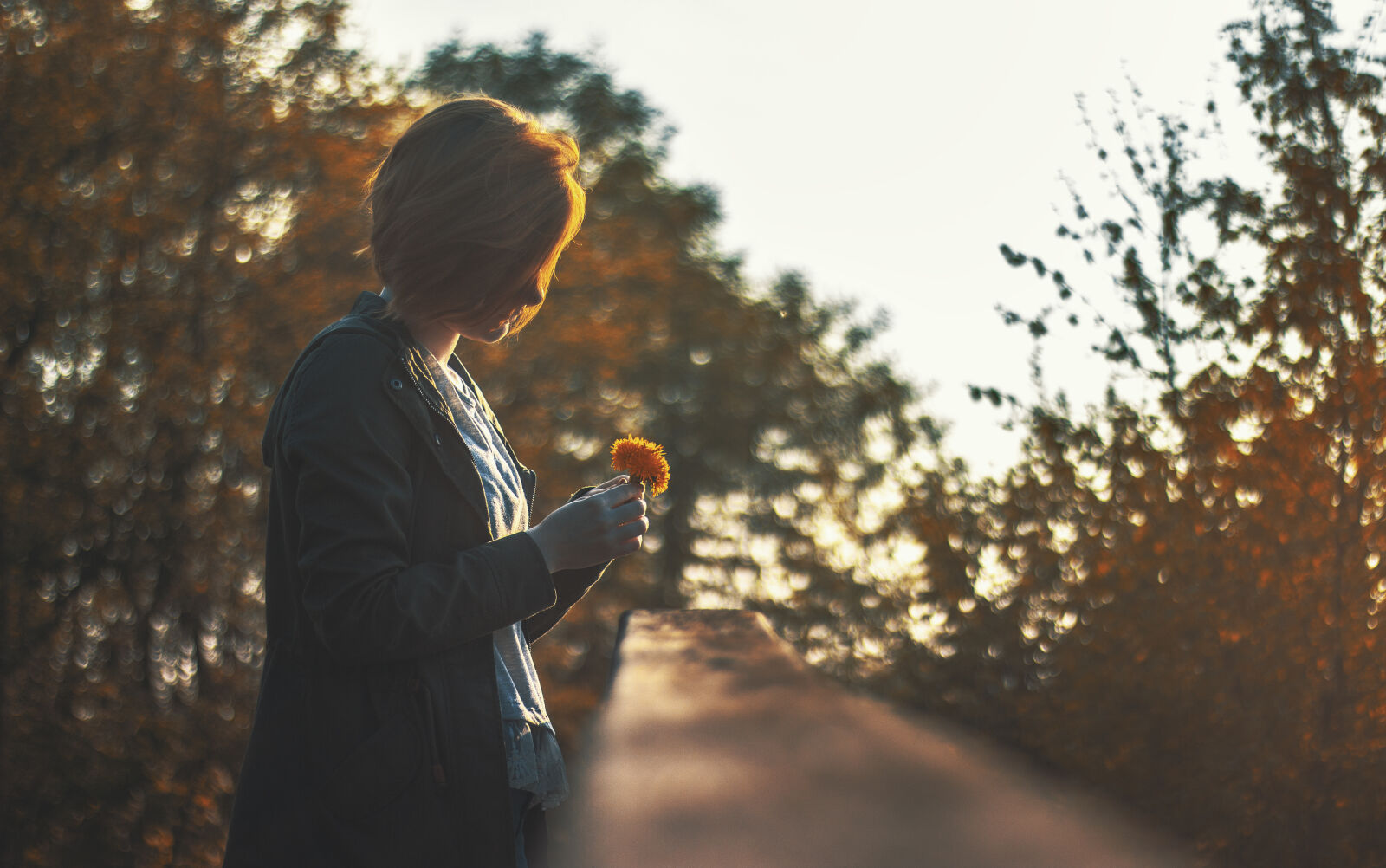 Canon EOS 600D (Rebel EOS T3i / EOS Kiss X5) + Canon EF 50mm F1.8 II sample photo. Autumn, beautiful, blur, blurry photography