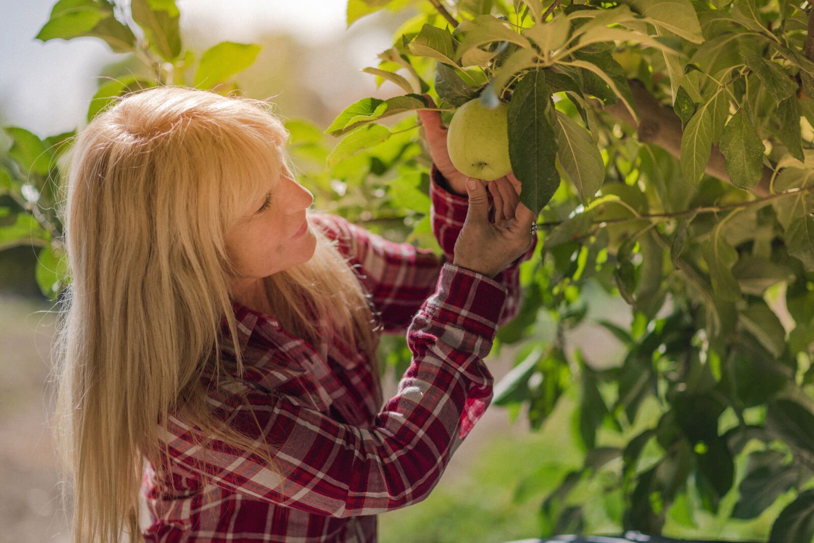 Nikon D750 sample photo. The apples, women, beautiful photography