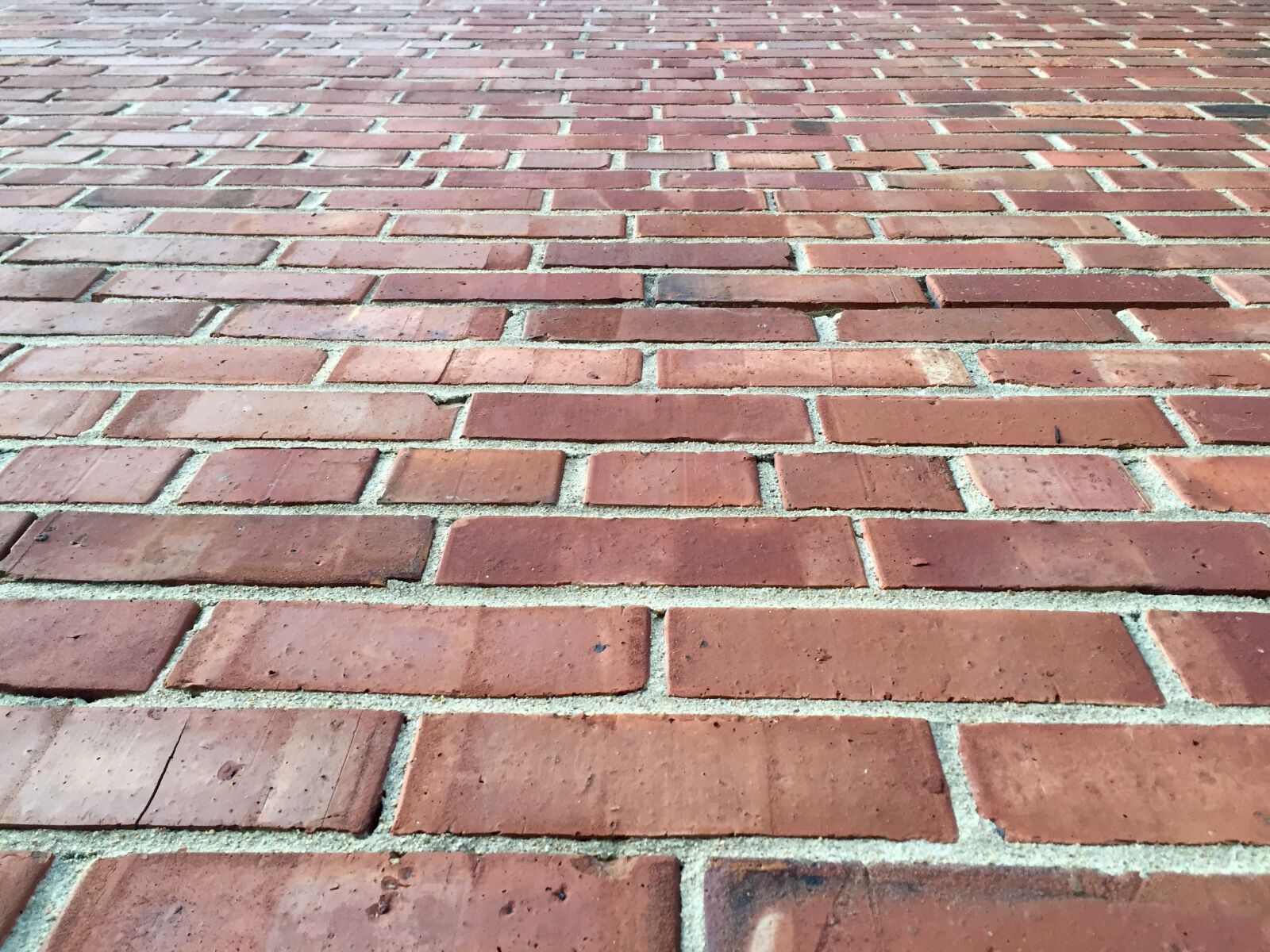 iPhone 6 back camera 4.15mm f/2.2 sample photo. Brick, wall, texture photography