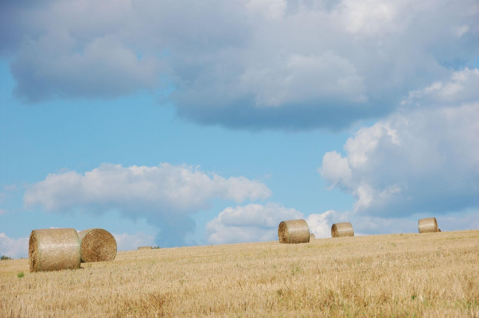 Nikon D40 sample photo. Field, hay bales, hay photography
