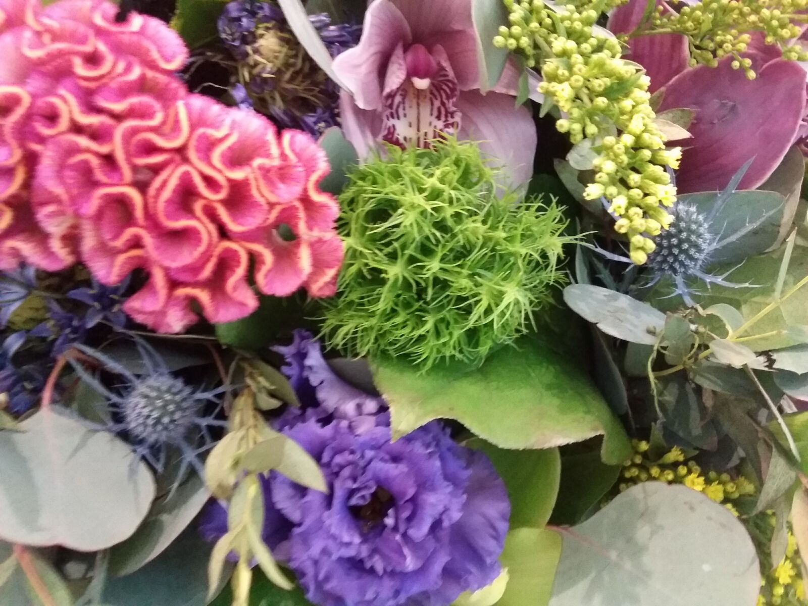 Samsung Galaxy J3(2016) sample photo
