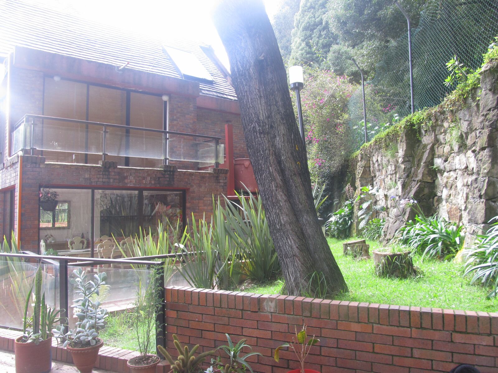 Canon PowerShot SX130 IS sample photo. Arbolado, zona verde, vegetaci photography