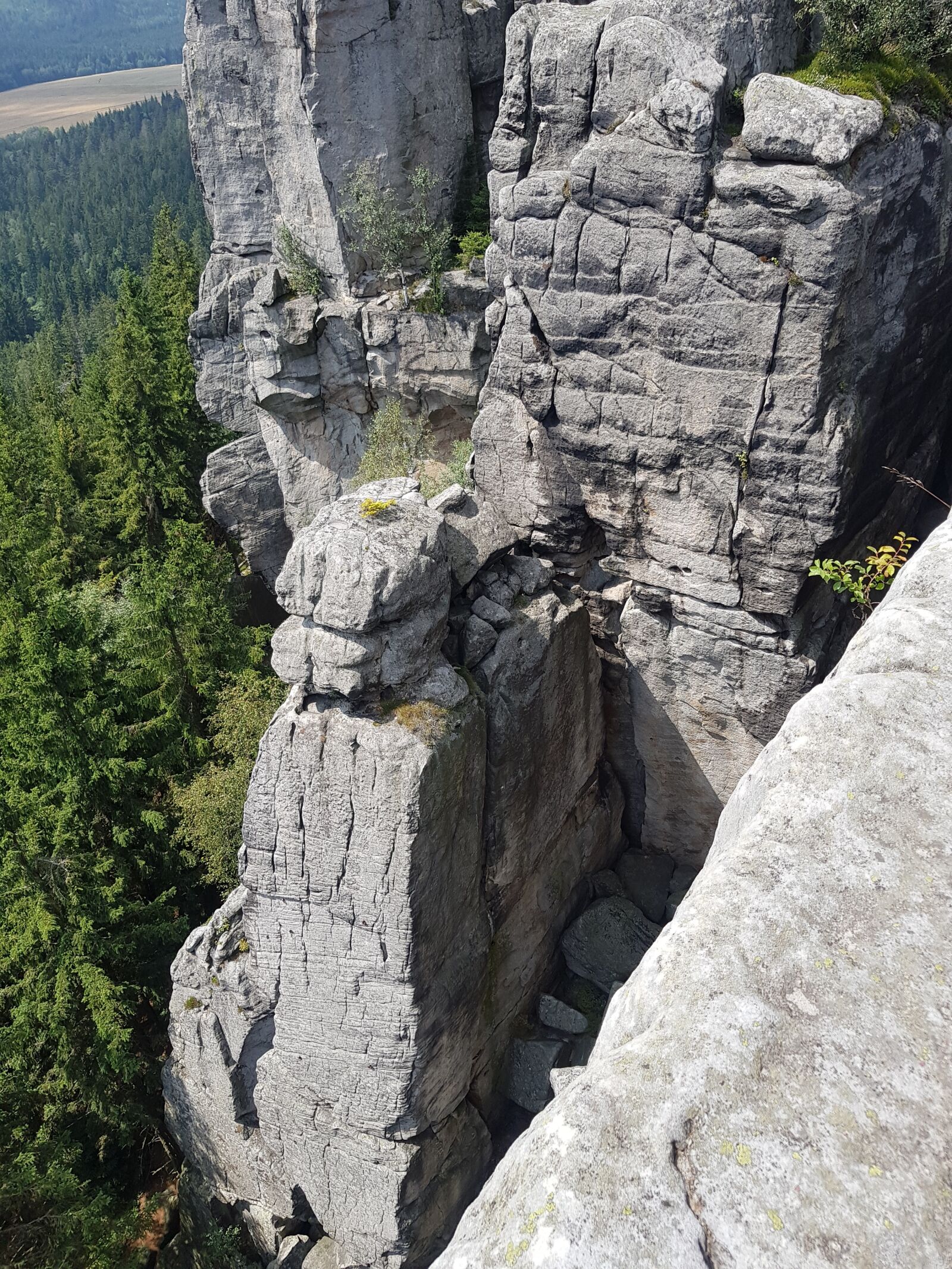 Samsung Galaxy S8+ sample photo. Forrest, mountains, stones photography