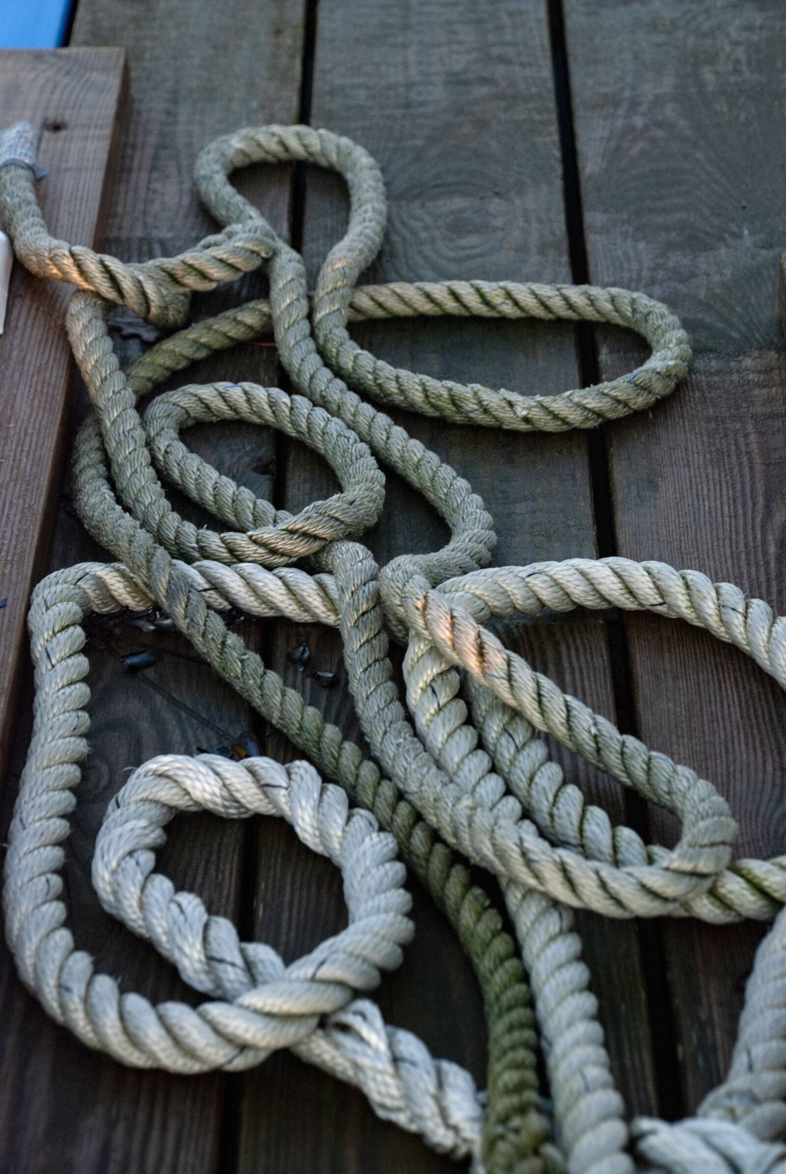 Nikon D80 sample photo. Rep, cordage, mooring photography