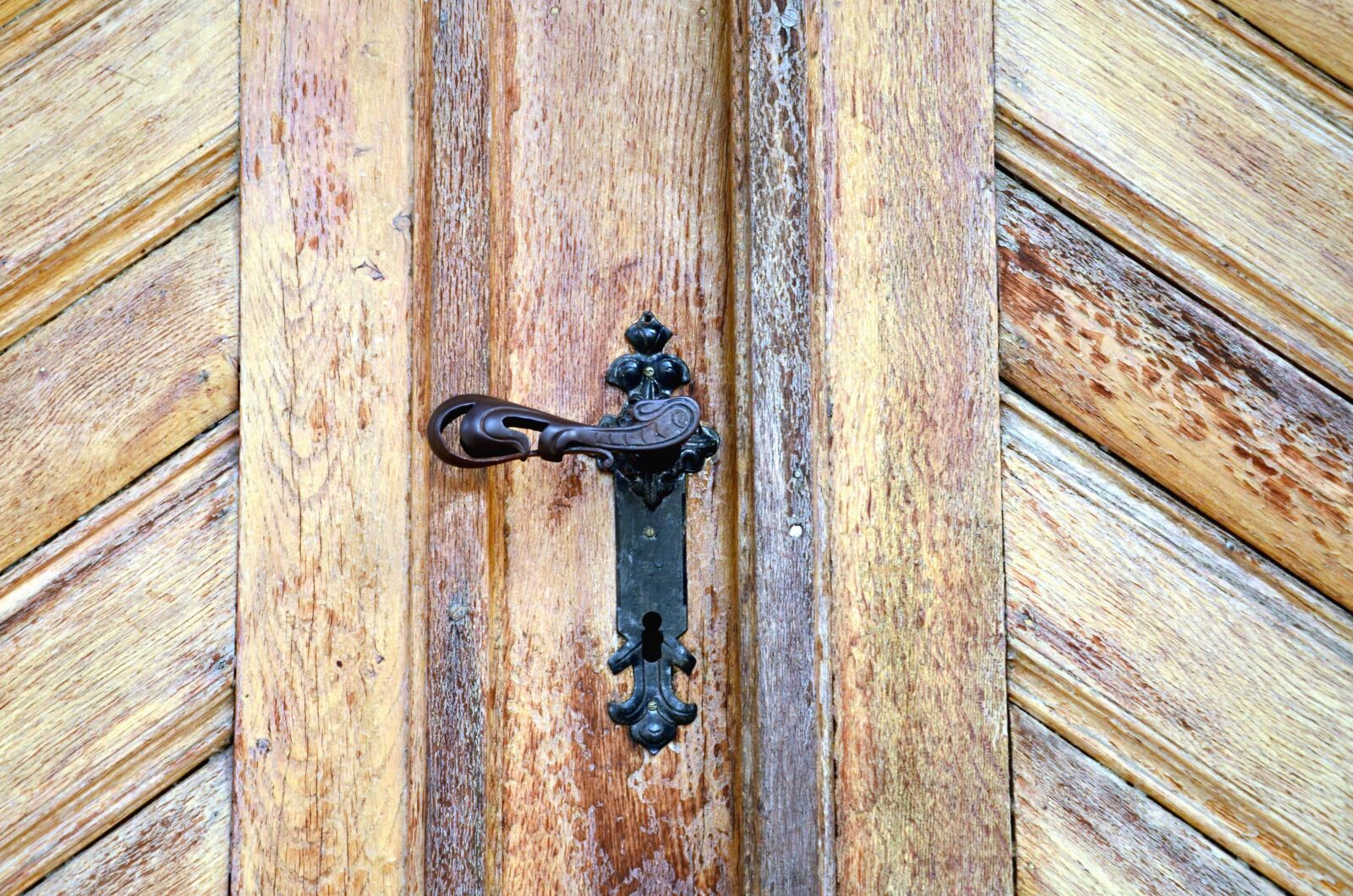 Nikon D5100 sample photo. Wood, door, door handle photography