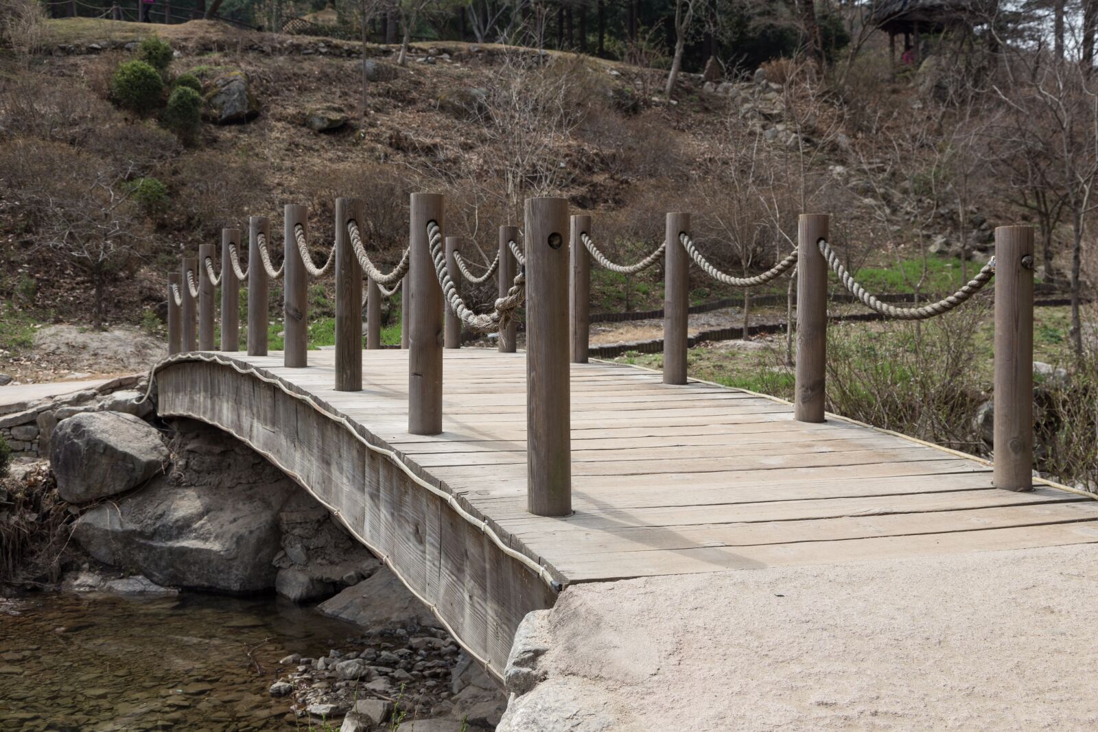Canon EOS 6D + Canon EF 24-105mm F4L IS USM sample photo. Bridge, the creek, garden photography