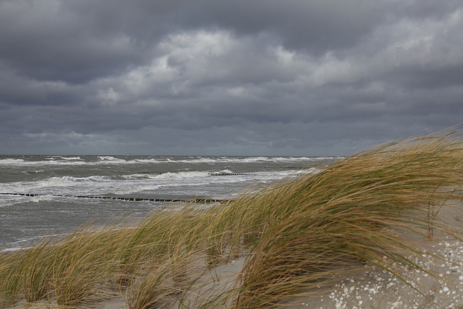 Canon EOS 5D Mark II sample photo. Surf, forward, sea photography