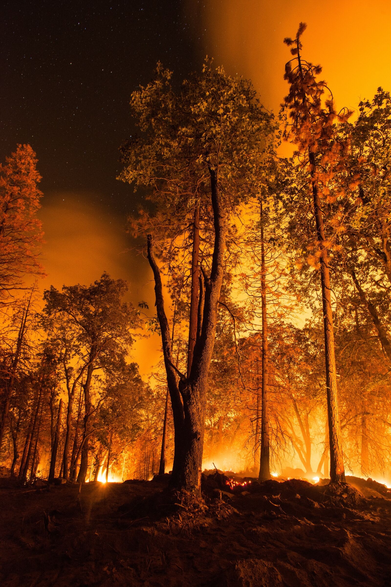 Nikon D800 sample photo. Forest fire, wildfire, blaze photography