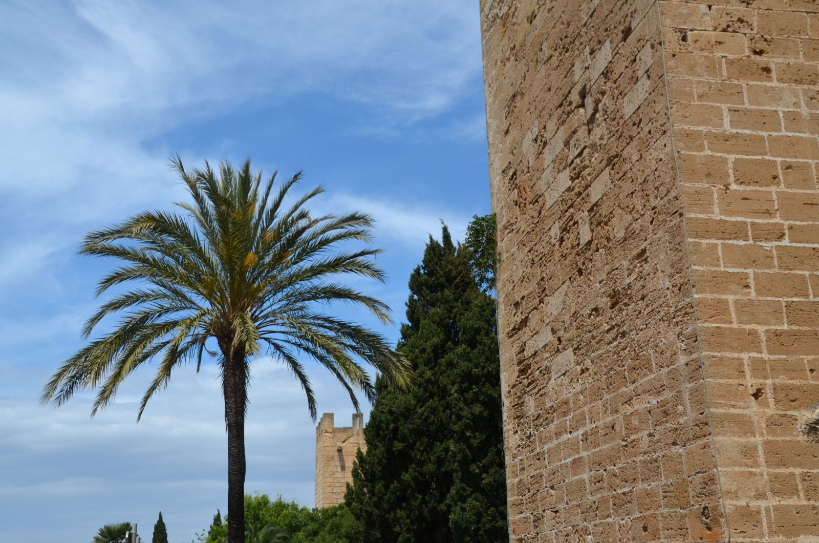 Nikon D5100 sample photo. Wall, palm, architecture photography