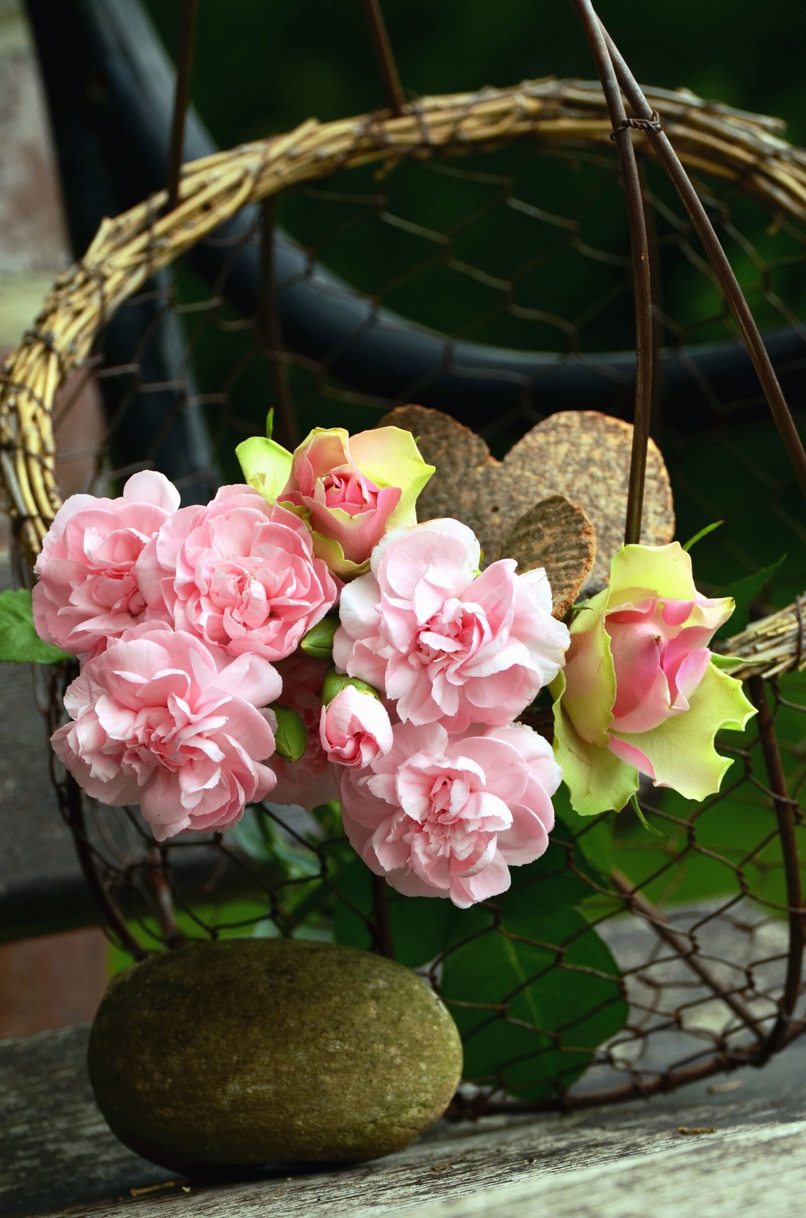 Nikon D5100 sample photo. Flower, stone, basket, still photography