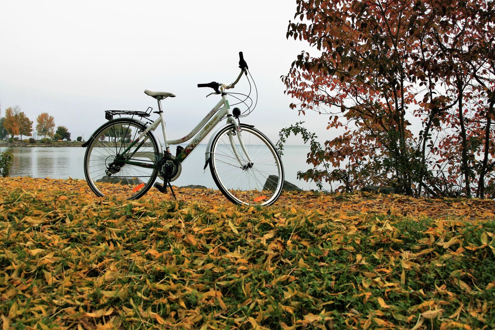 Canon EOS 400D (EOS Digital Rebel XTi / EOS Kiss Digital X) sample photo. Yellow leaves, autumn, bike photography