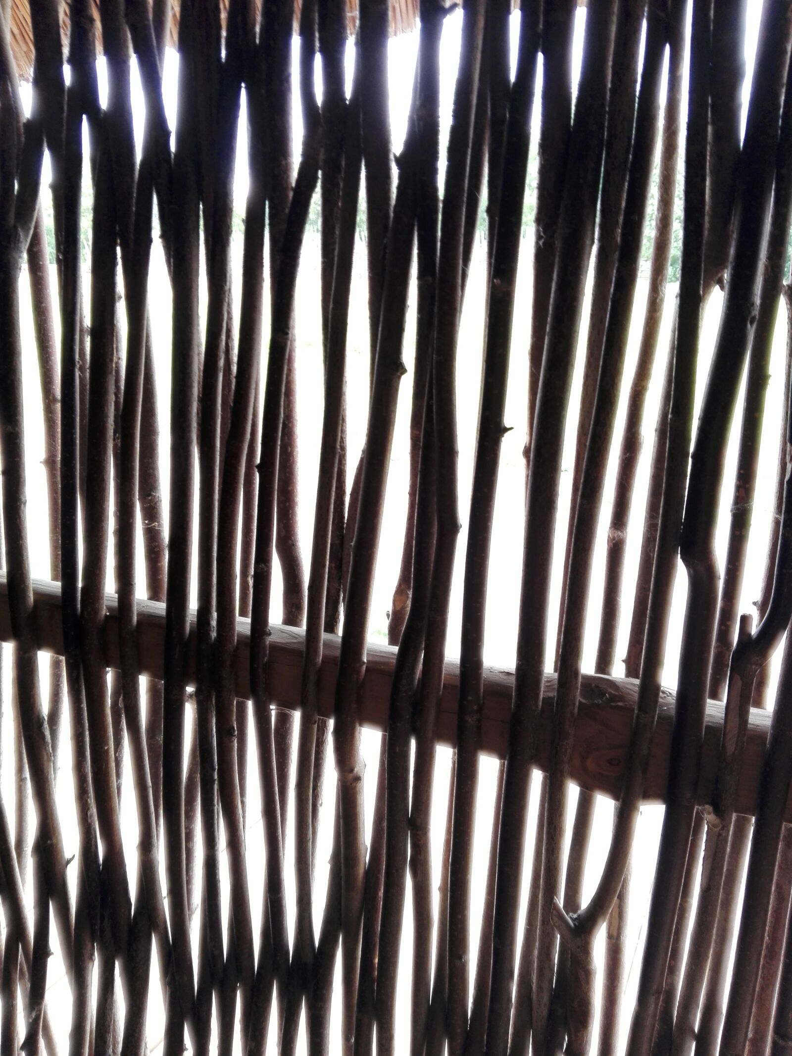 HUAWEI Y6II sample photo. The door, willow, partition photography