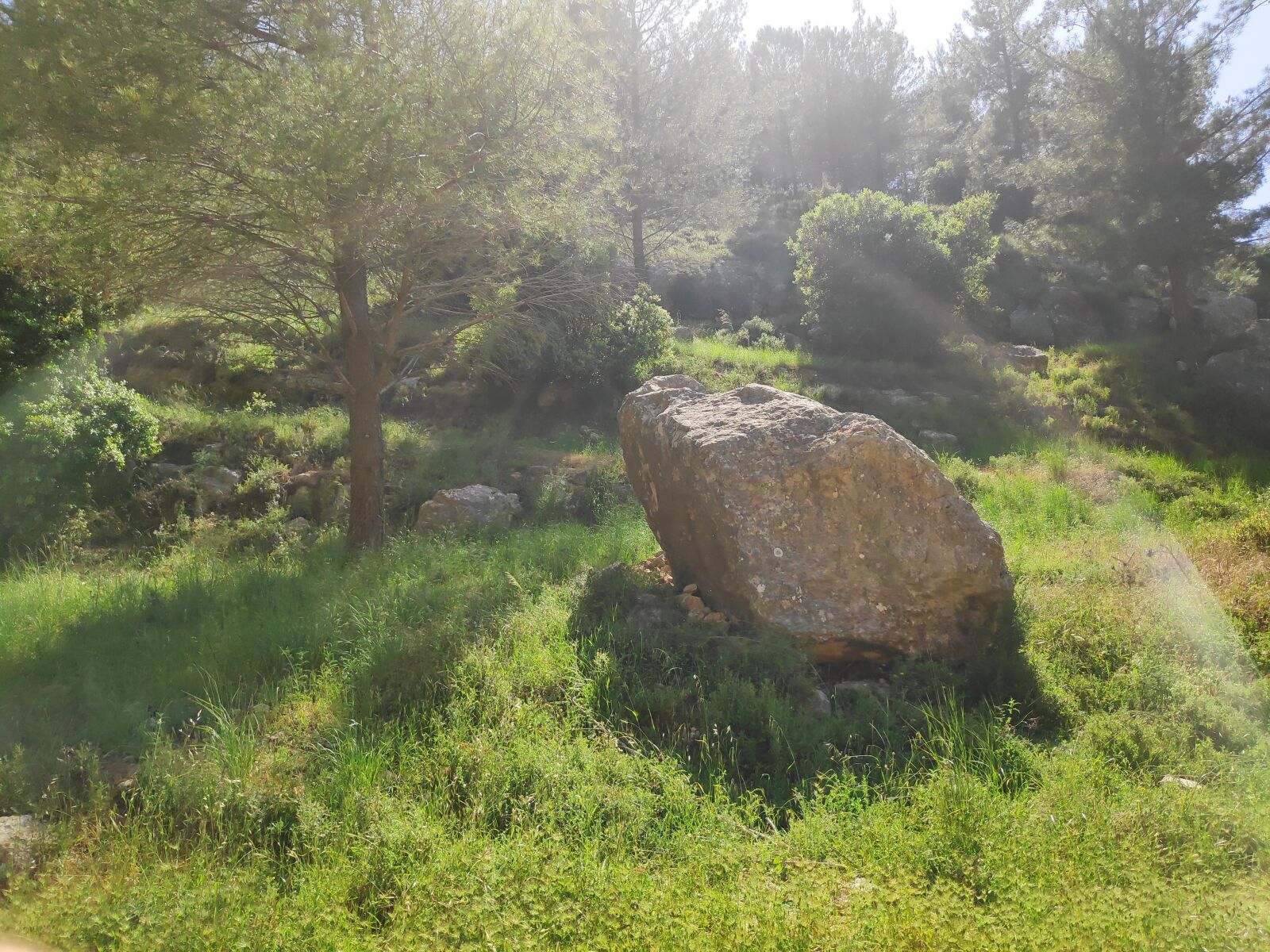 Xiaomi POCO F1 sample photo. Nature, stone, sunny photography