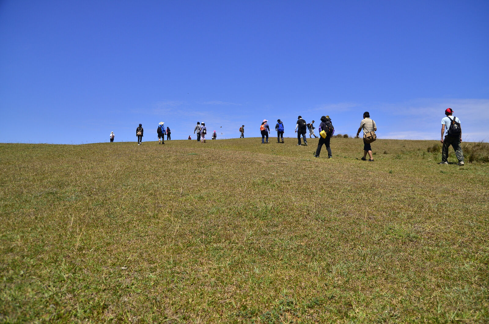 Nikon D7000 sample photo