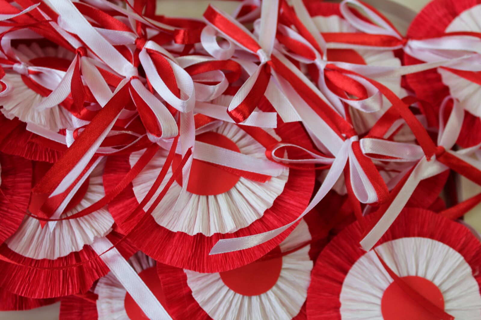 Canon EOS 1200D (EOS Rebel T5 / EOS Kiss X70 / EOS Hi) sample photo. White-red, 11 nov, bows photography