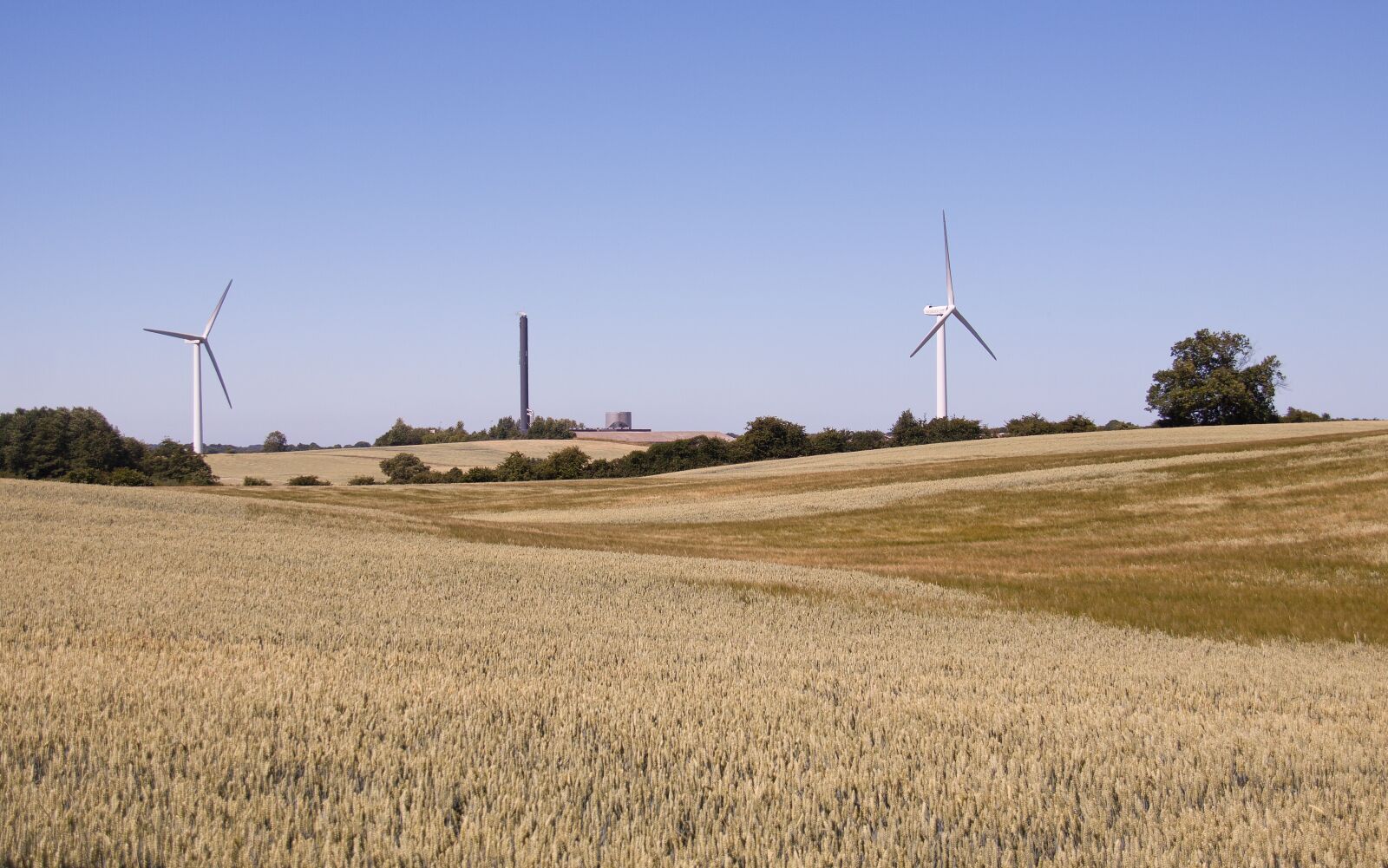 Canon EOS 50D + Canon EF-S 18-200mm F3.5-5.6 IS sample photo. Corn field, wind turbines photography