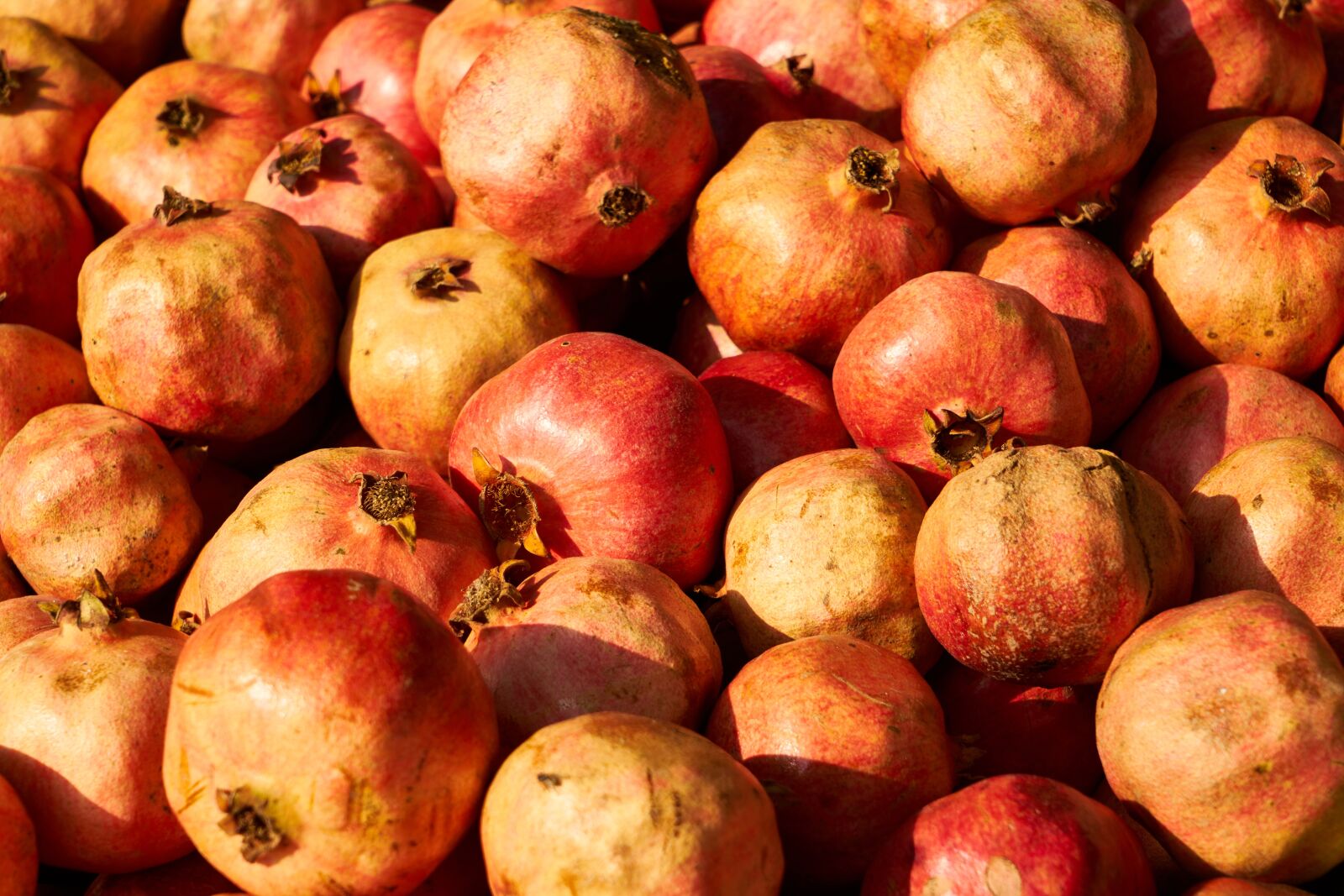 Sony a7R II sample photo. Pomegranate, fruit, flu photography