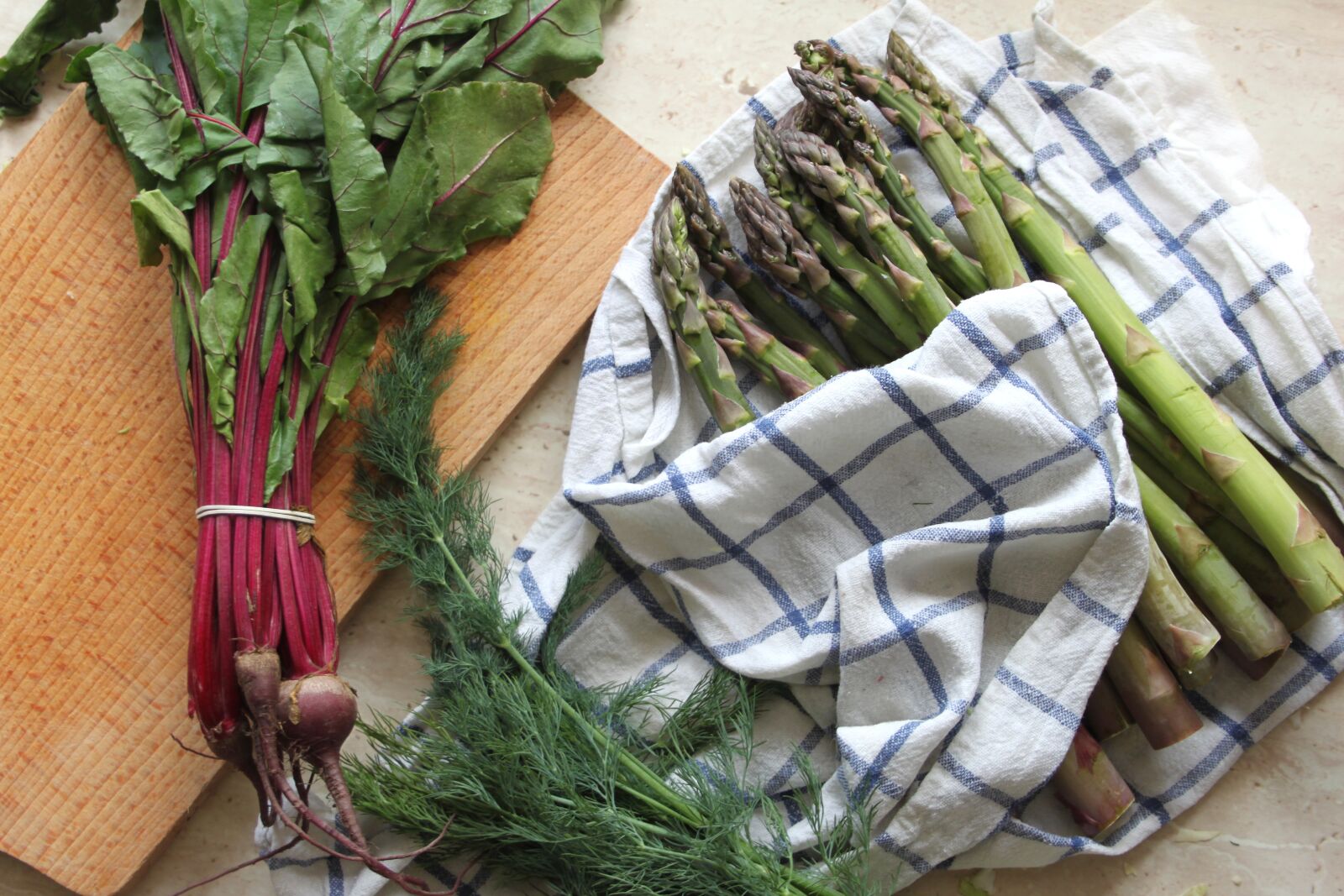 Canon EOS 500D (EOS Rebel T1i / EOS Kiss X3) sample photo. Asparagus, botwinka, beets photography