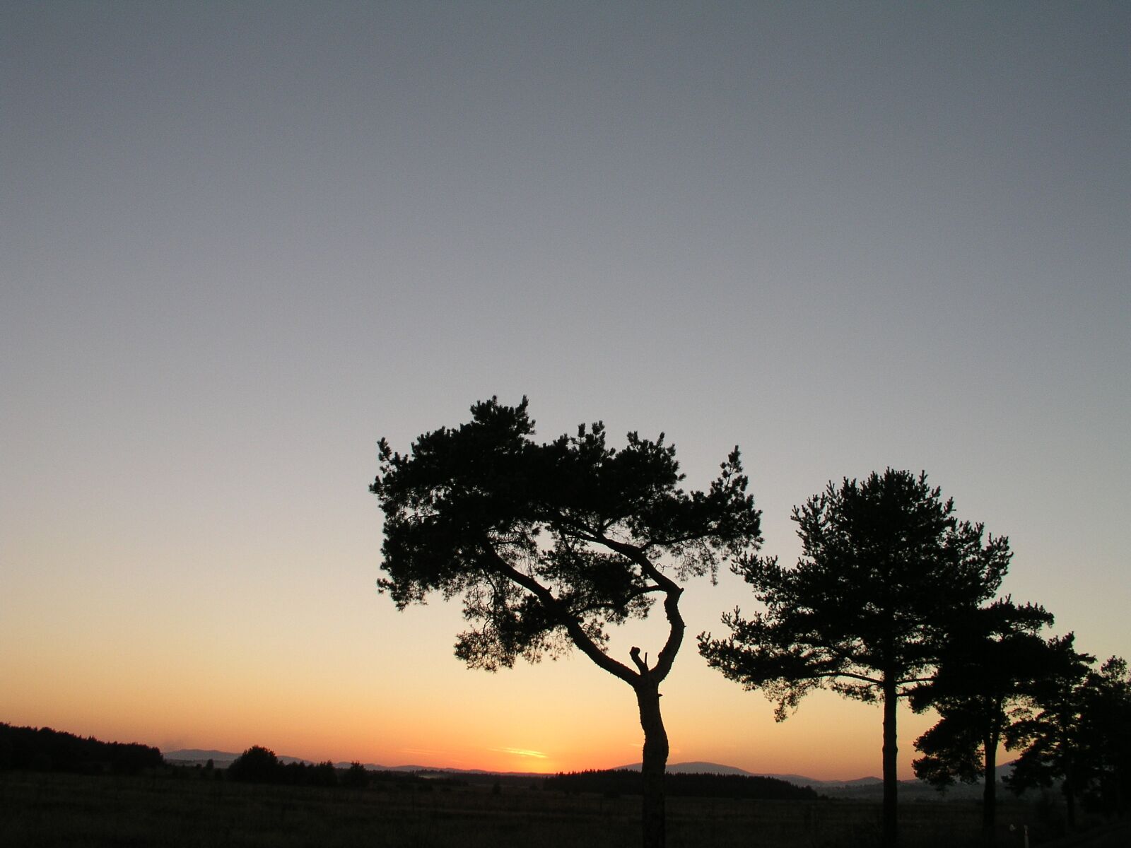 Olympus C5050Z sample photo. Sunset, orava, vistas photography