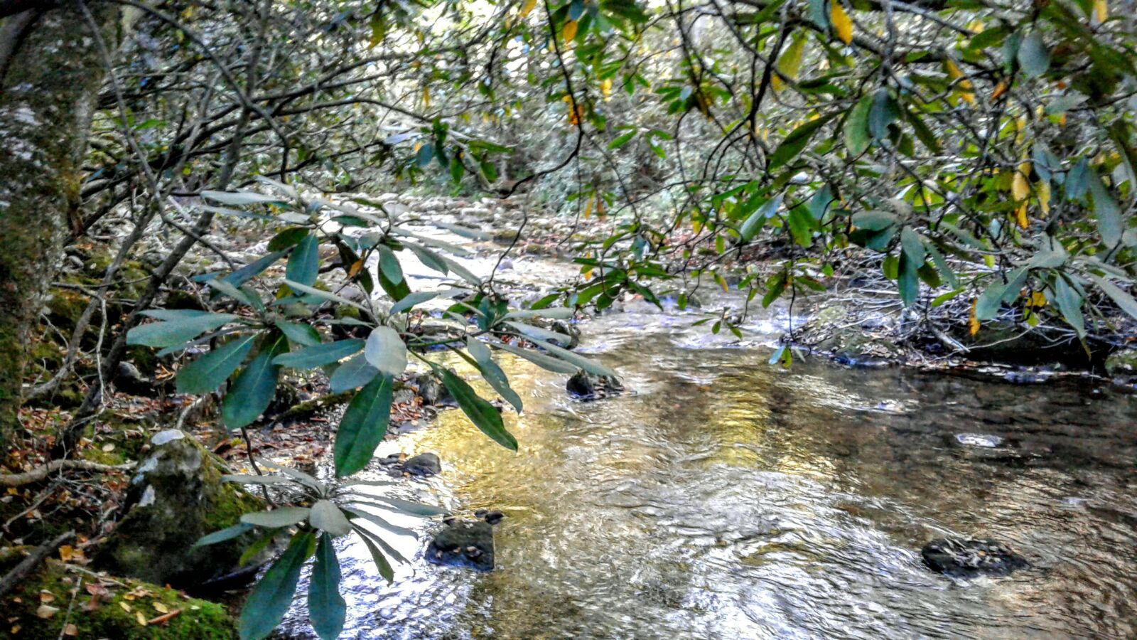 Samsung Galaxy J3(2016) sample photo. Edited, nature, river photography