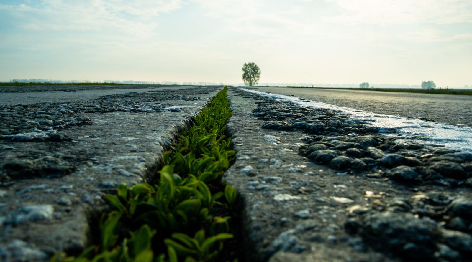 Fujifilm X-T3 + Fujifilm XF 18-55mm F2.8-4 R LM OIS sample photo. Road, highway, greenery photography