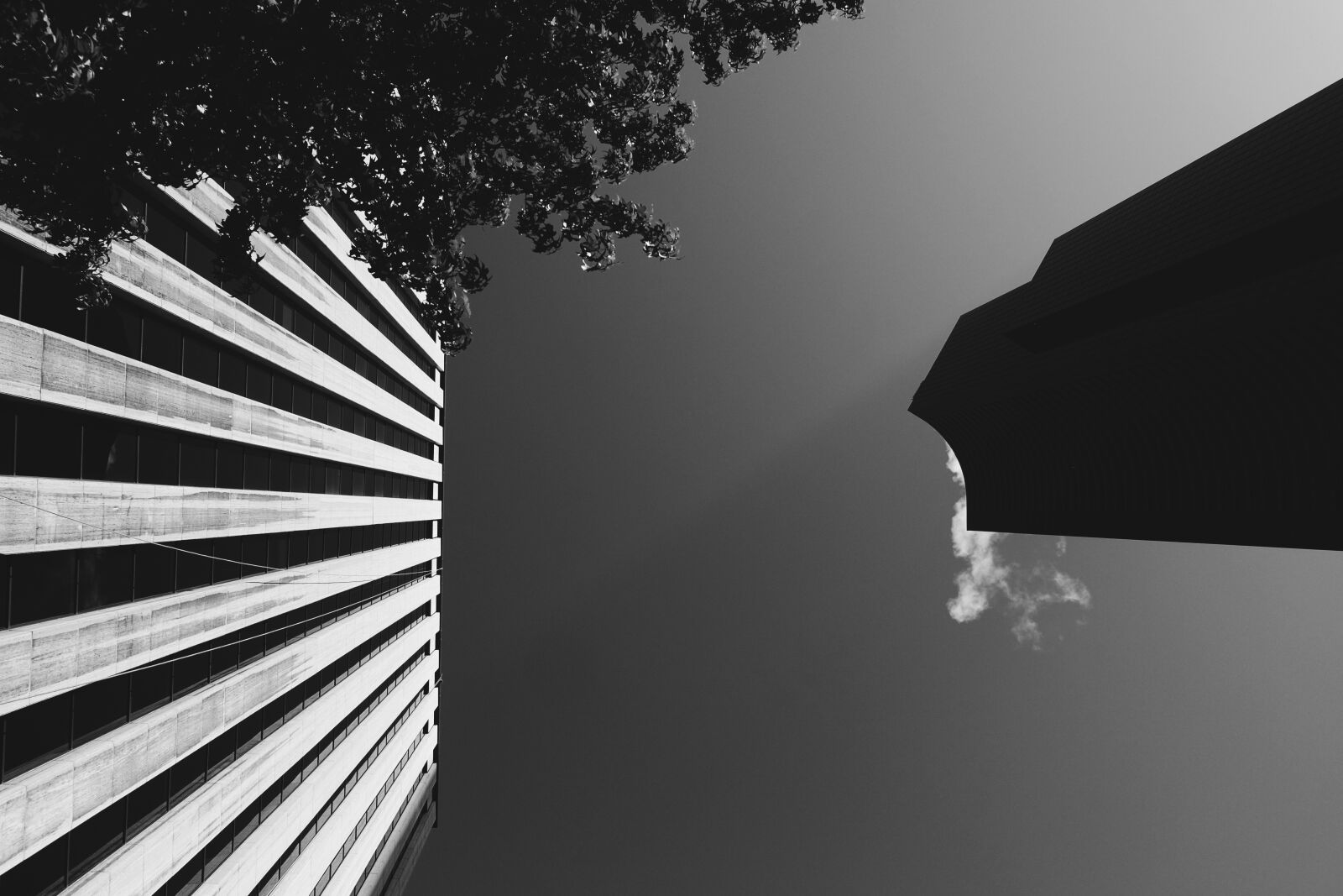Fujifilm X-T1 sample photo. Black and white, building photography