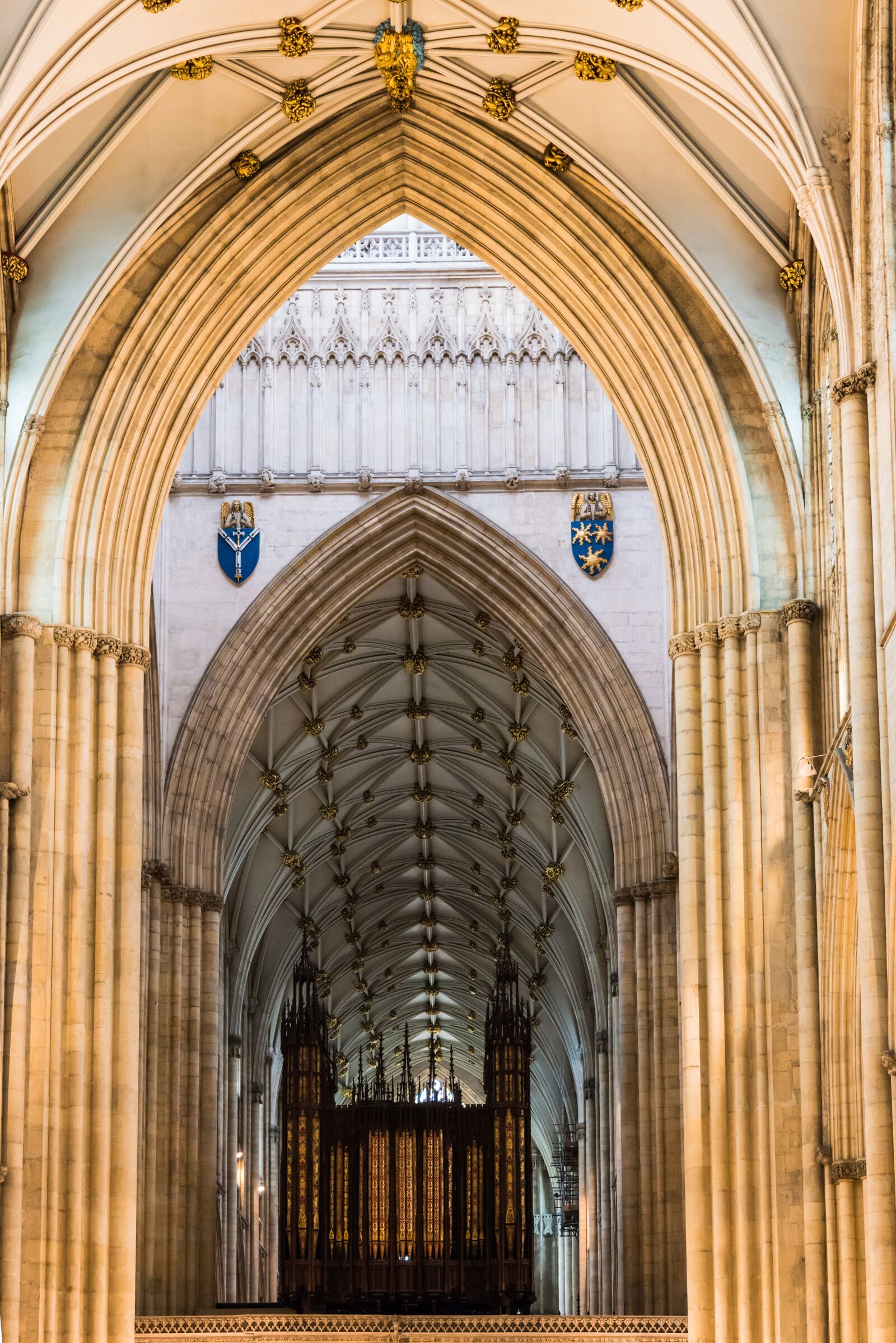 Nikon D800 sample photo. York, yorkshire, england photography