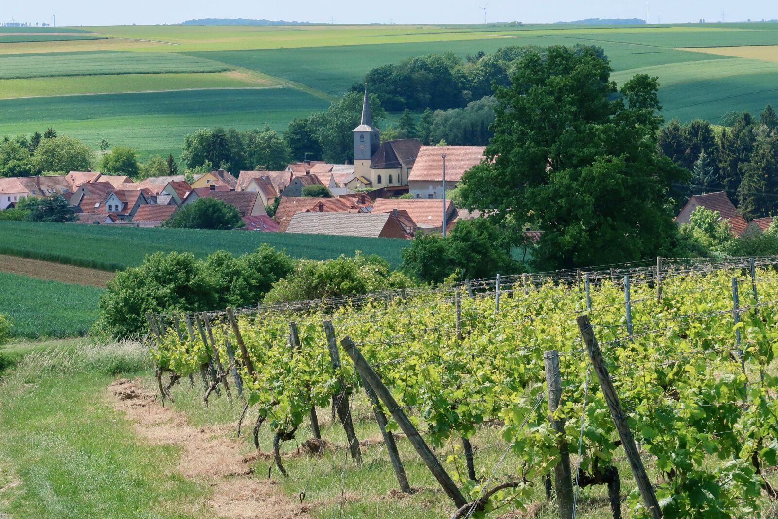 Canon PowerShot G7 X Mark II sample photo. Village, wine, winegrowing photography