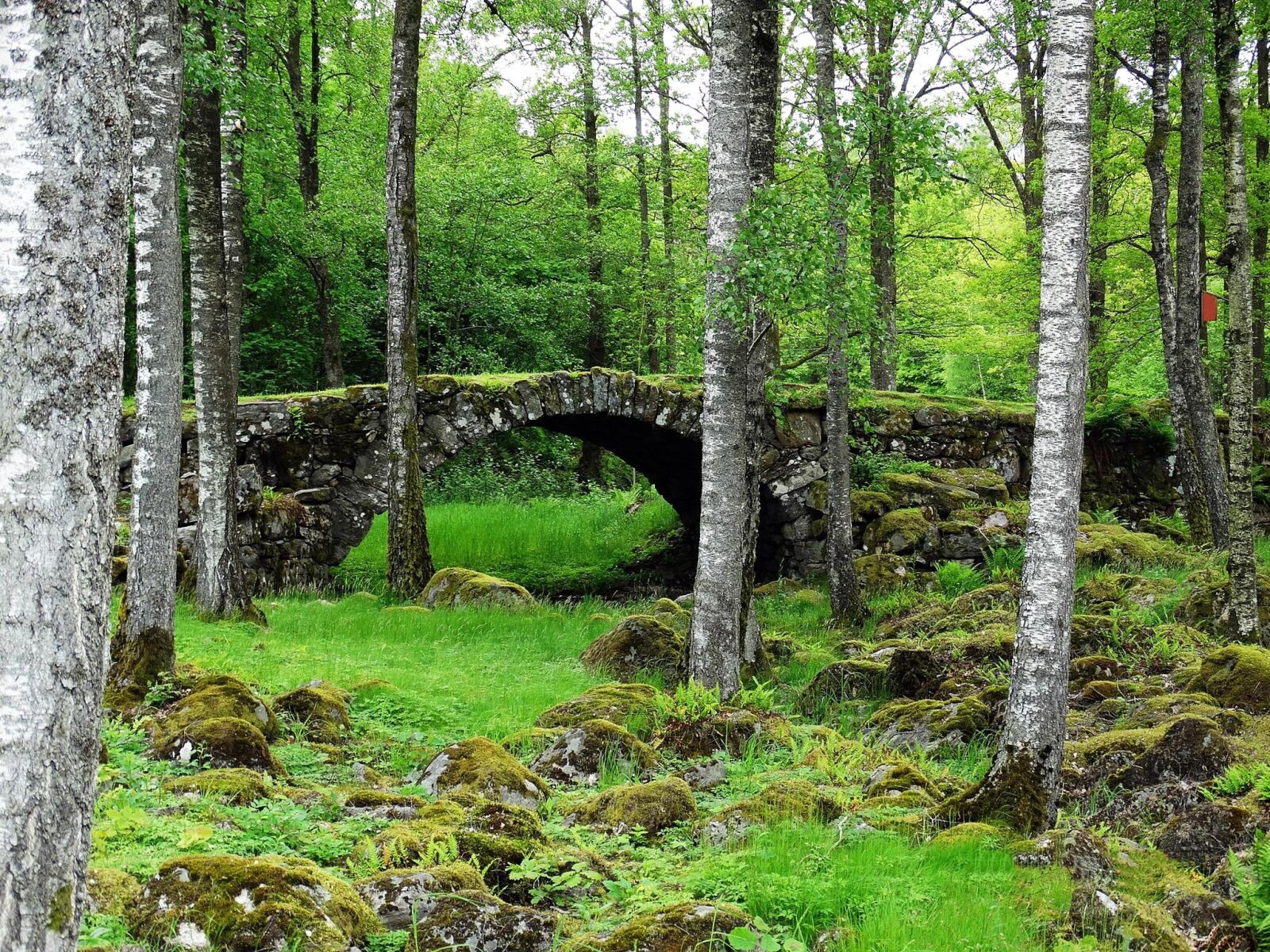 Sony Cyber-shot DSC-HX300 sample photo. Landscapes, greenery, stone bridge photography