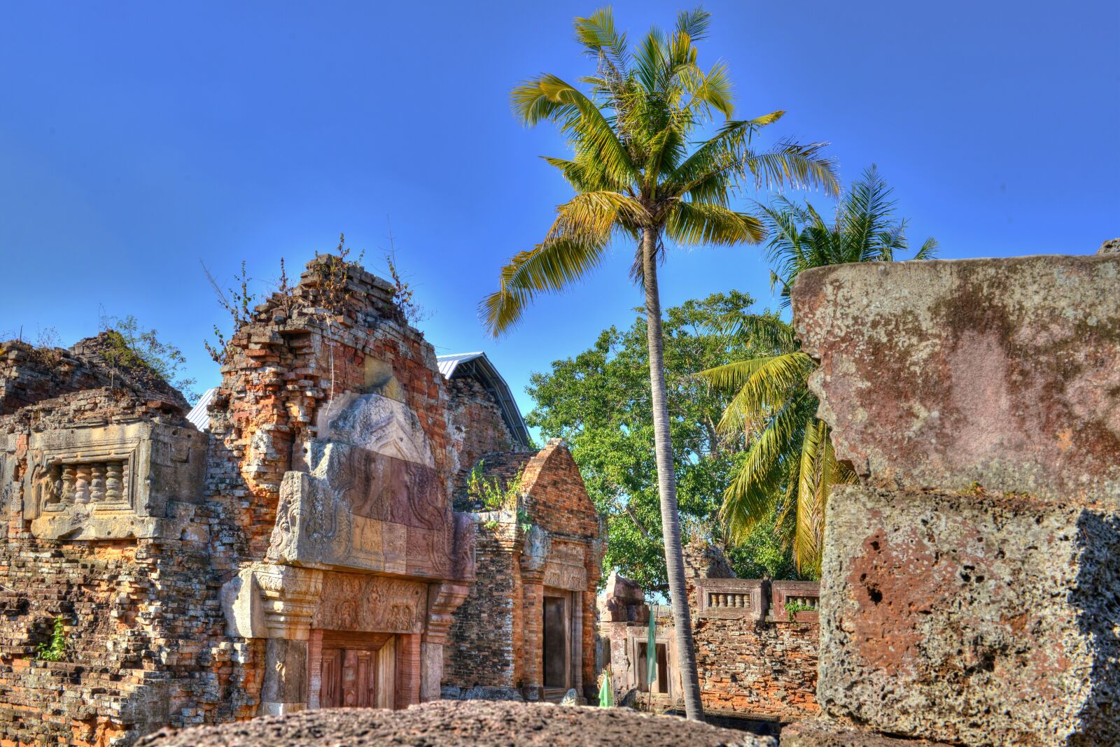 Nikon D800 sample photo. Chisor, tree, cambodia photography