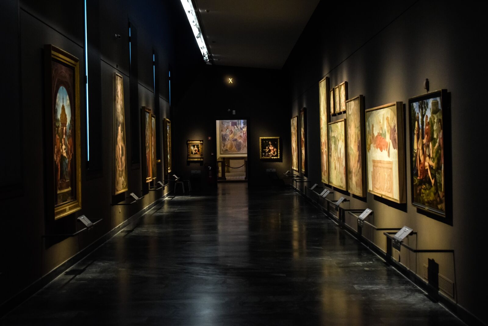 Nikon D3300 sample photo. Pinacoteca di brera, art photography