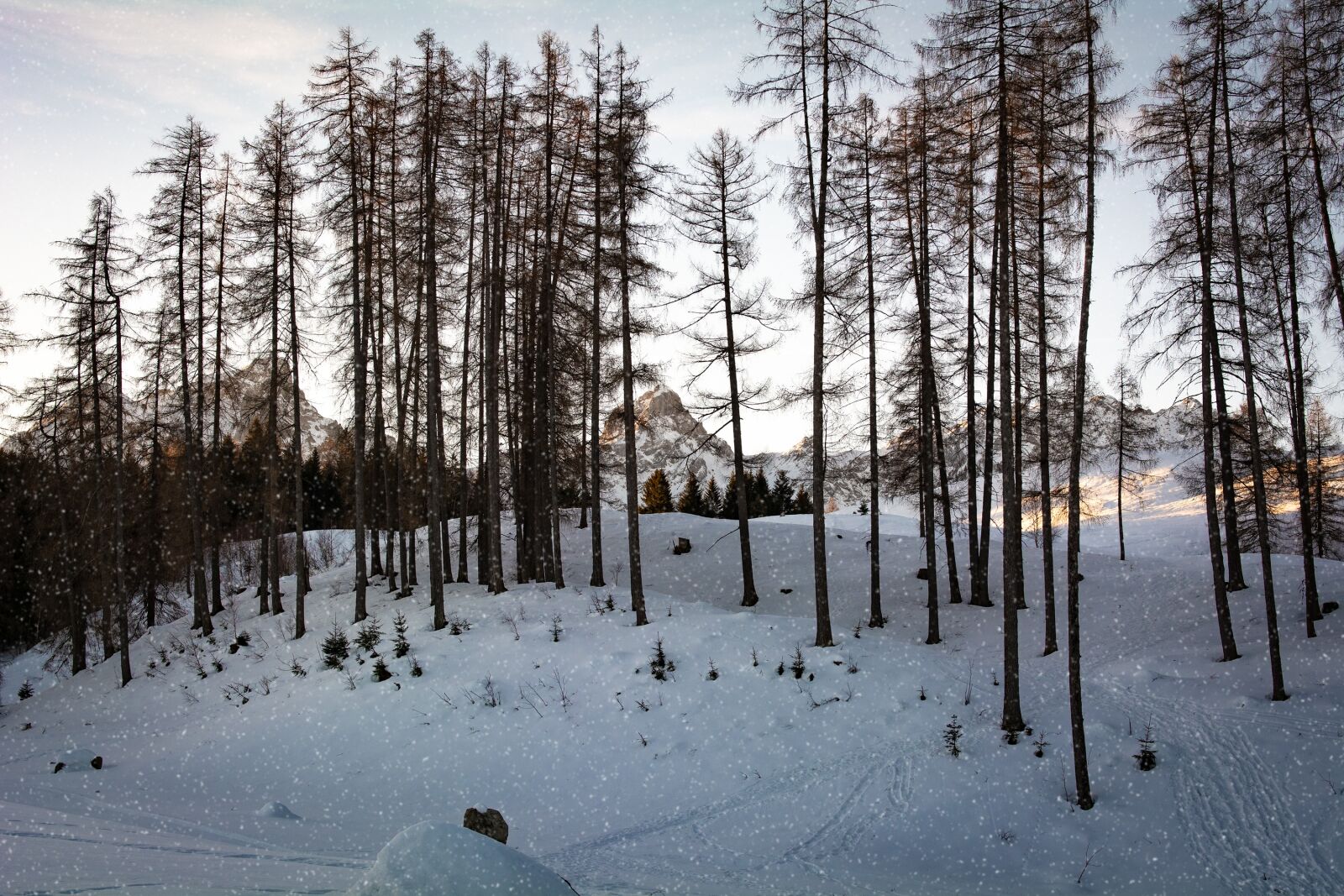 Nikon D7100 sample photo. Landscape, winter, snow photography