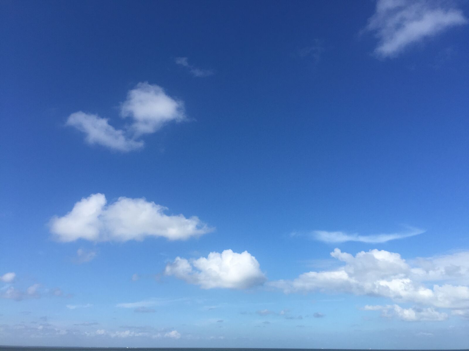 iPhone 6 Plus back camera 4.15mm f/2.2 sample photo. An, birds, eye, view photography