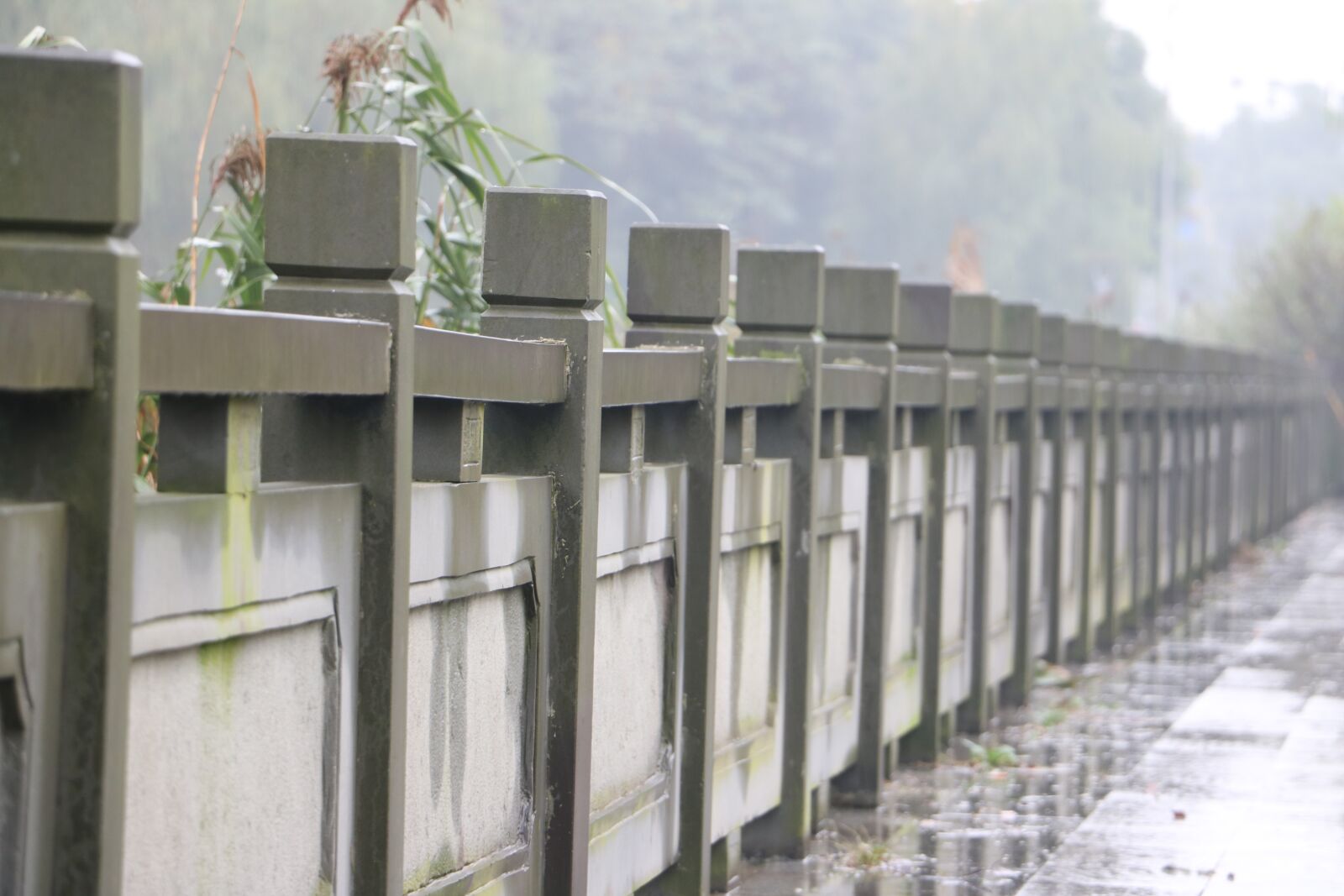 Canon EOS 750D (EOS Rebel T6i / EOS Kiss X8i) sample photo. Rain, autumn, bridge photography