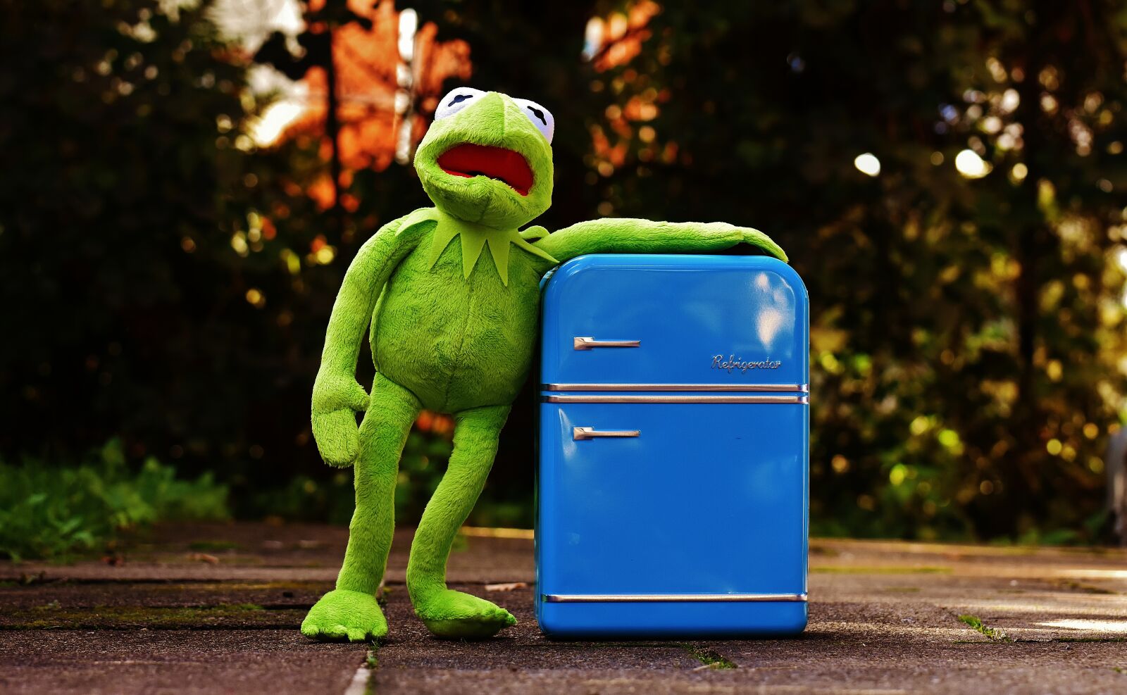Nikon D7200 sample photo. Kermit, frog, refrigerator photography