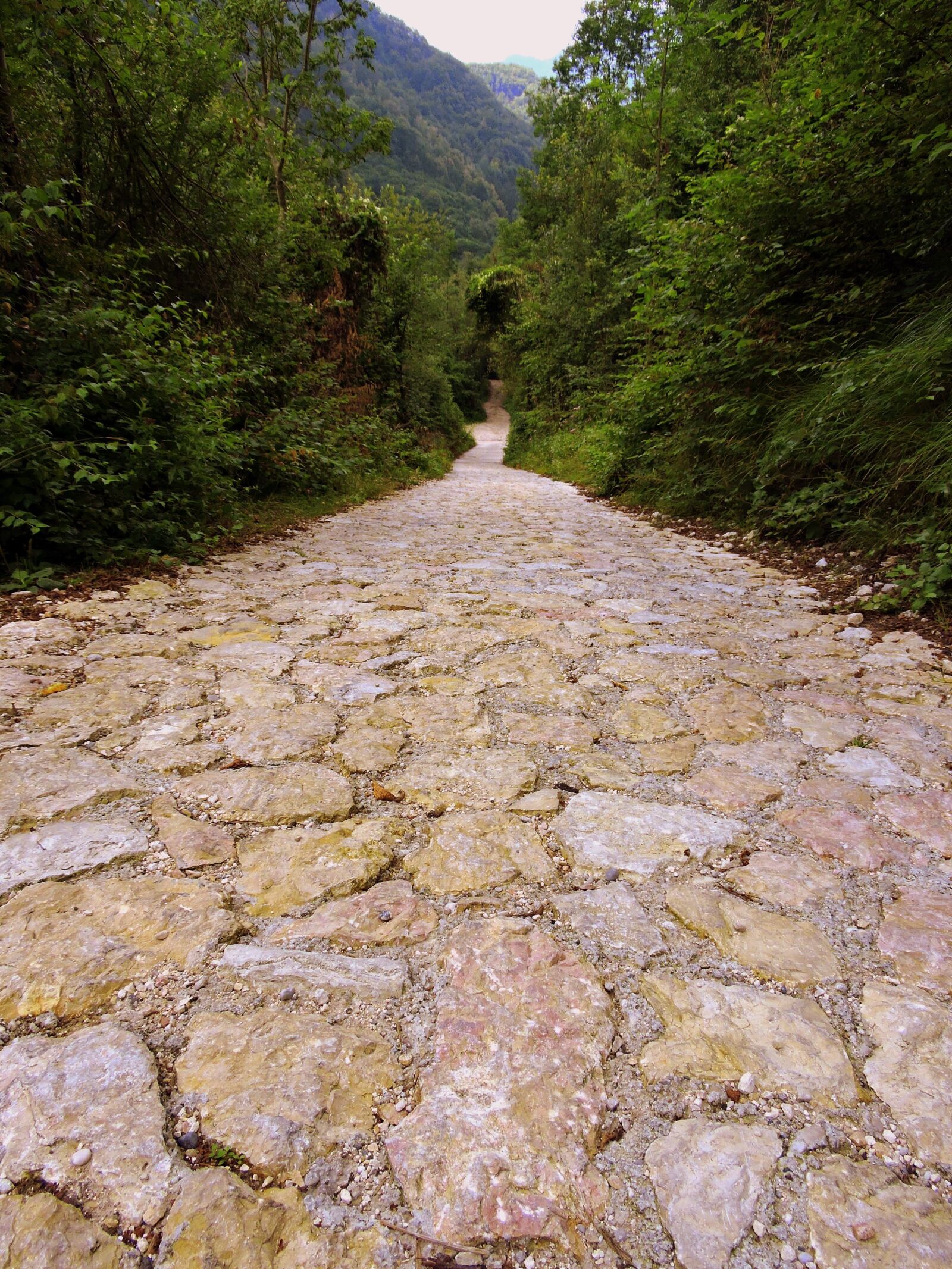 Nikon Coolpix P600 sample photo. Trail, flooring, stone photography