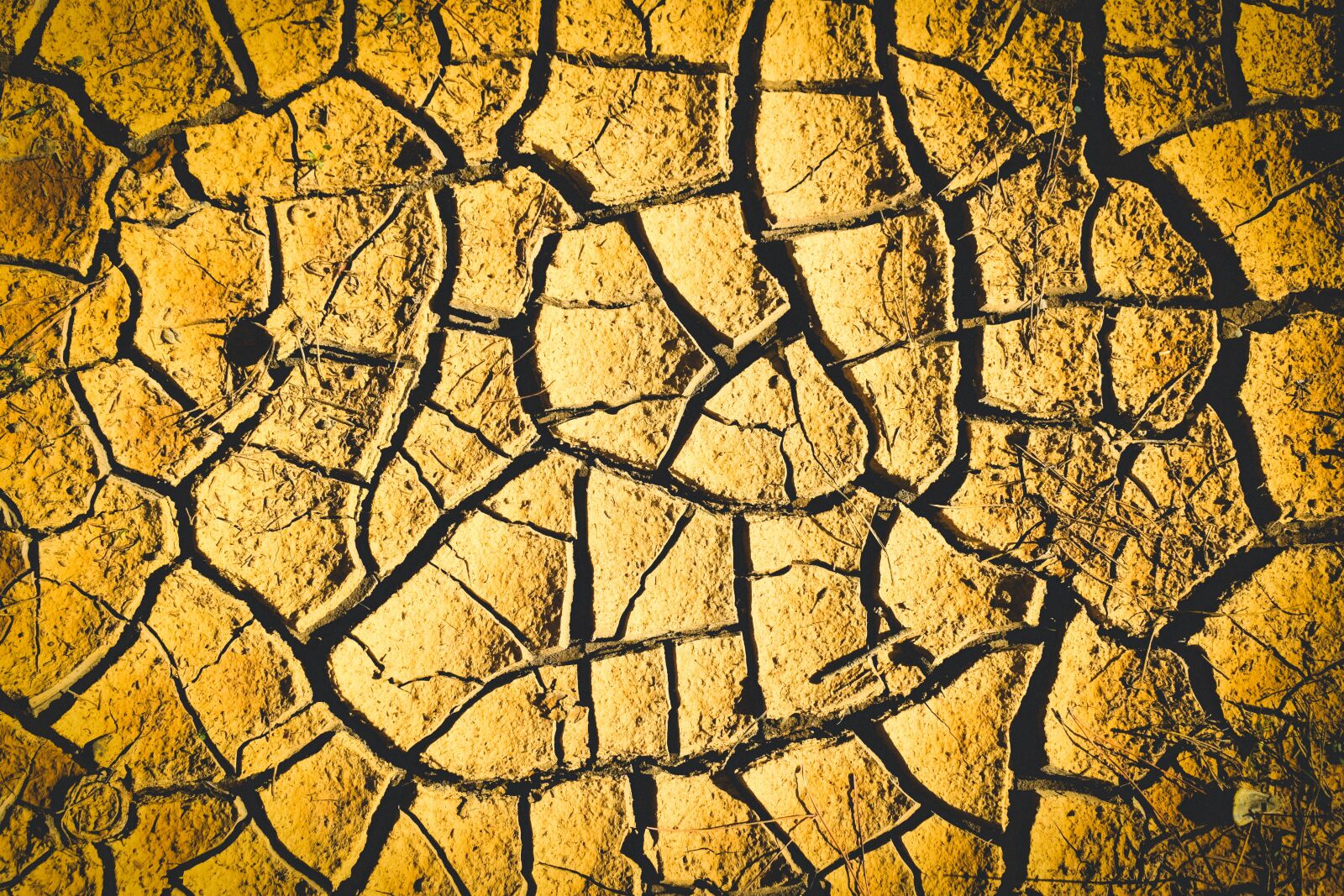 Nikon D3300 sample photo. Drought, aridity, aridness photography