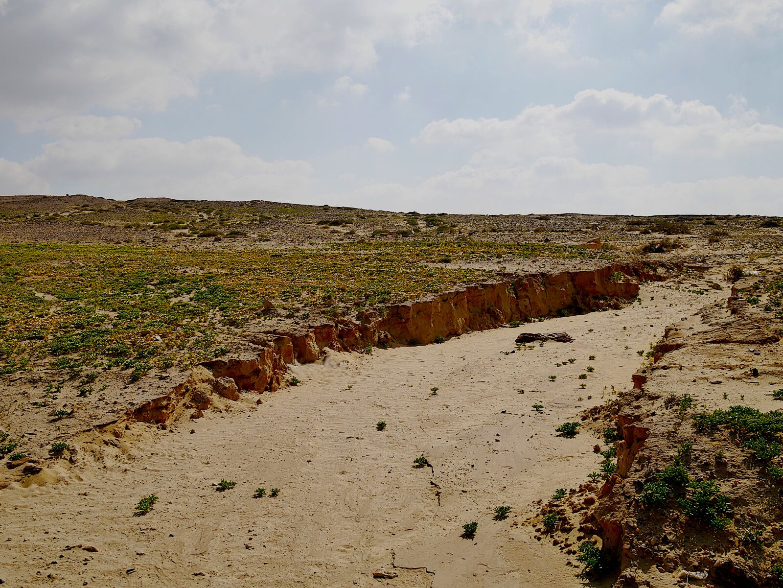 Panasonic DMC-G70 sample photo. Wadi, desert, sahara photography