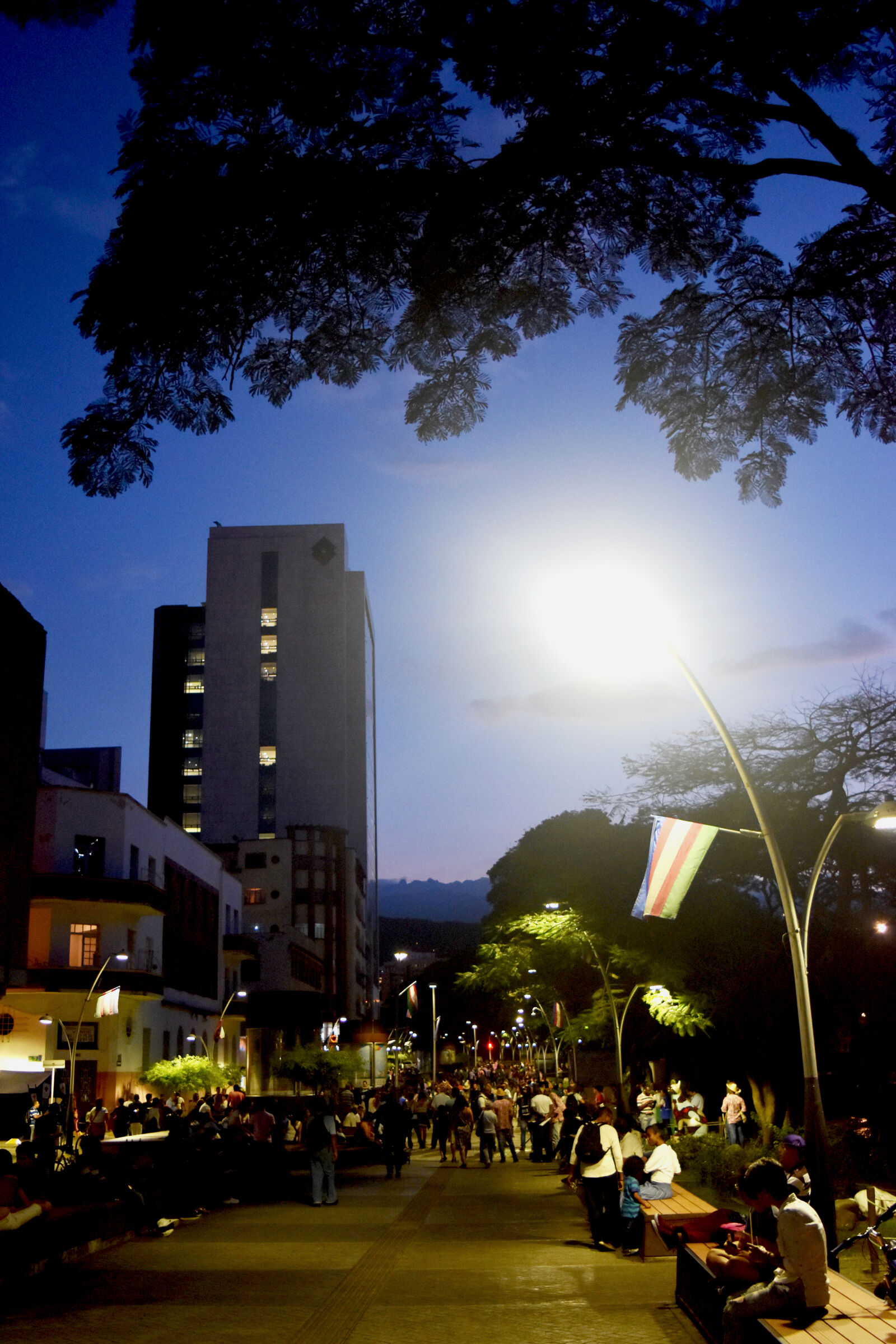 Nikon D5500 sample photo. Ancianas, atardecer, boulevard, del photography