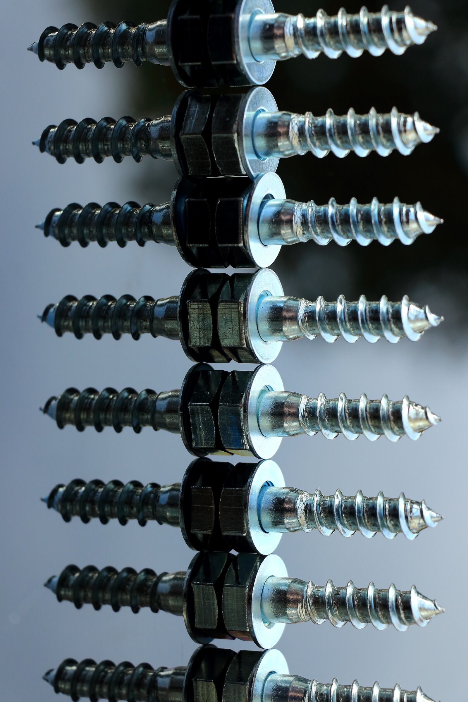 Canon EOS 700D (EOS Rebel T5i / EOS Kiss X7i) sample photo. Screw, wood screws, metal photography