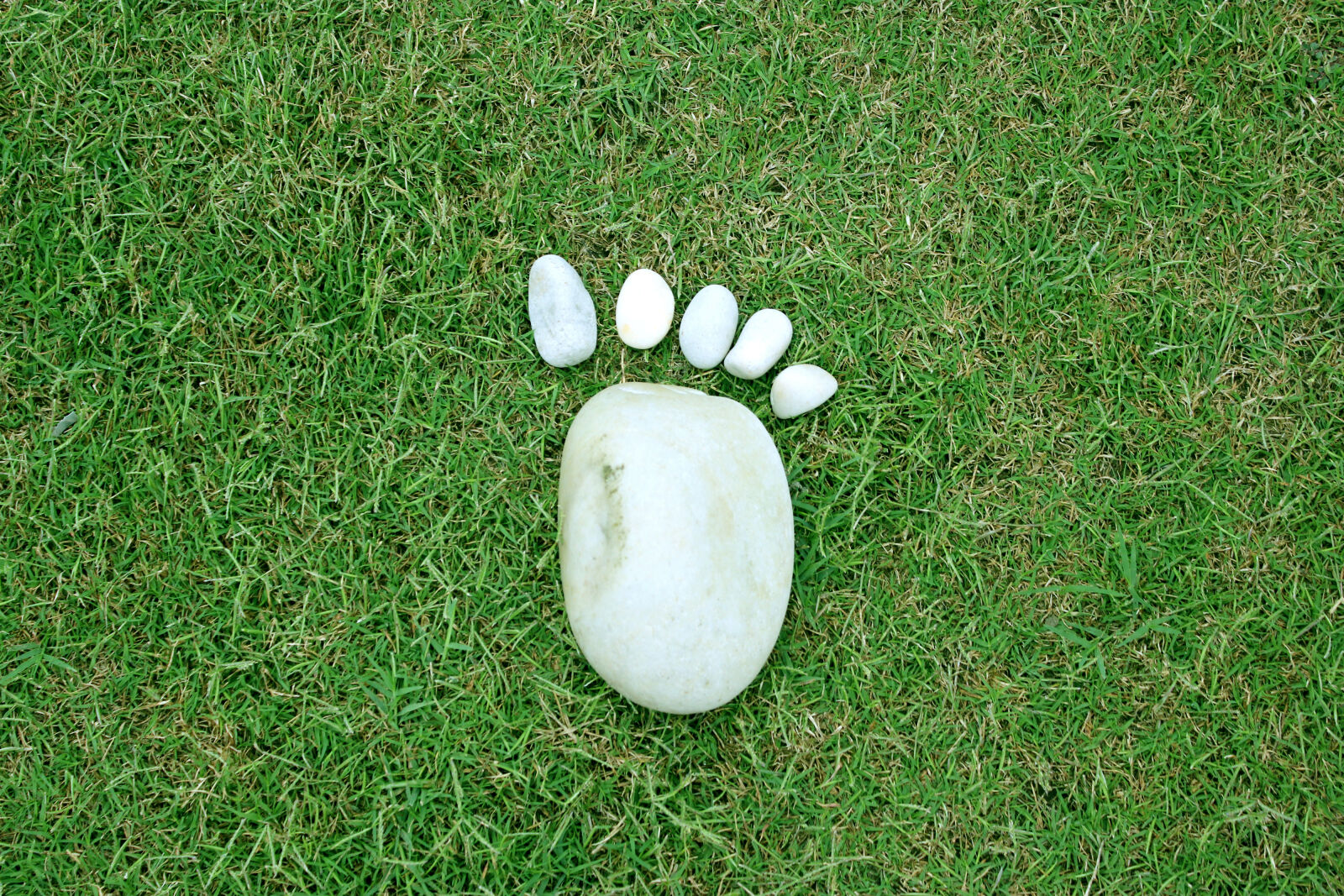 Canon EOS 550D (EOS Rebel T2i / EOS Kiss X4) sample photo. Foot, grass, pebbles, relax photography
