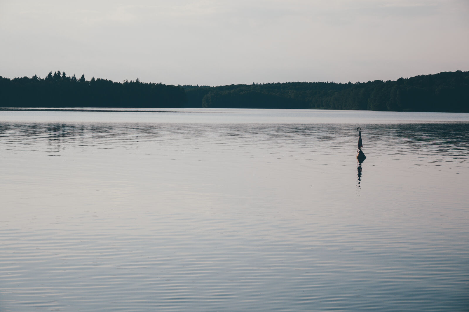 Nikon D3200 sample photo. Buoy, forest, lake, watter photography