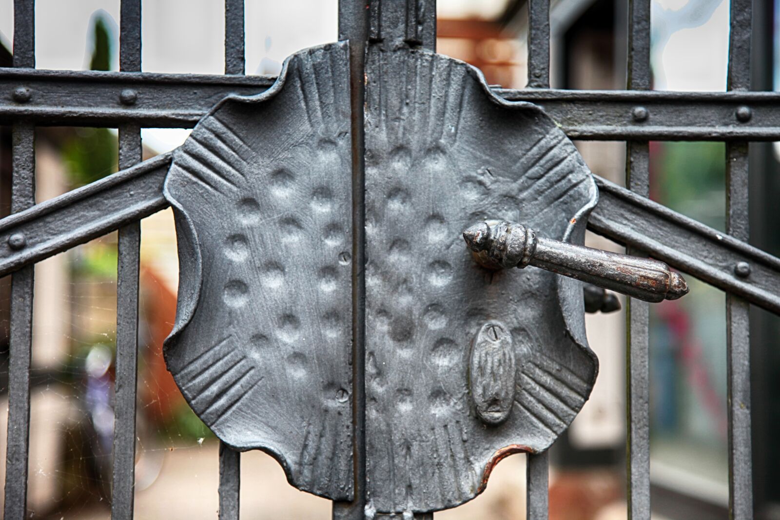 Canon EOS 5D Mark II sample photo. Fence, iron, grid photography